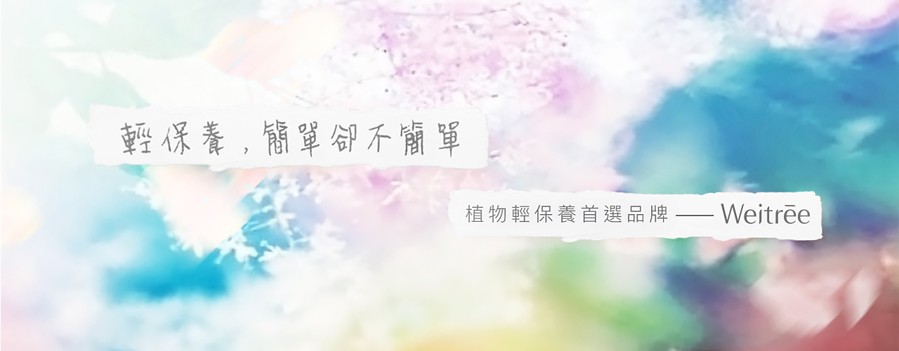 ãWeitreeãçåçæå°çµæ