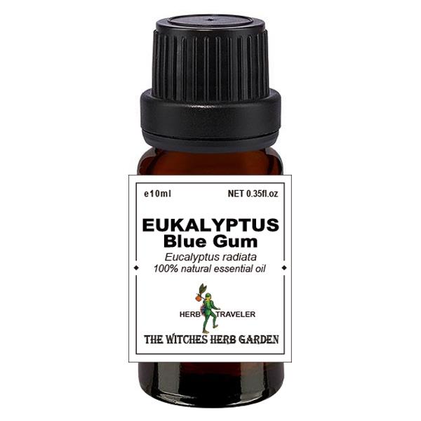 【女巫藥草園】藍膠尤加利精油 / Eucalyptus Blue Gum oil (Eucalyptus globulus) / 喬夏嚴選最高品質精油