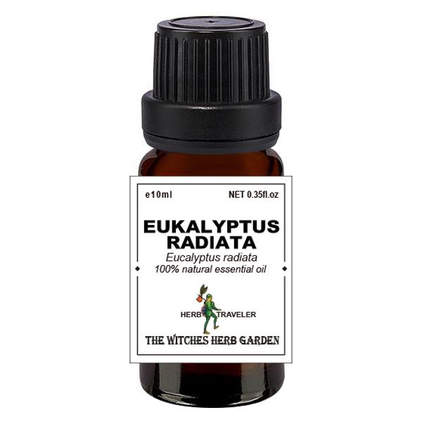【女巫藥草園】澳洲尤加利精油 / Eucalyptus radiata oil (Eucalyptus radiata) / 喬夏嚴選最高品質精油