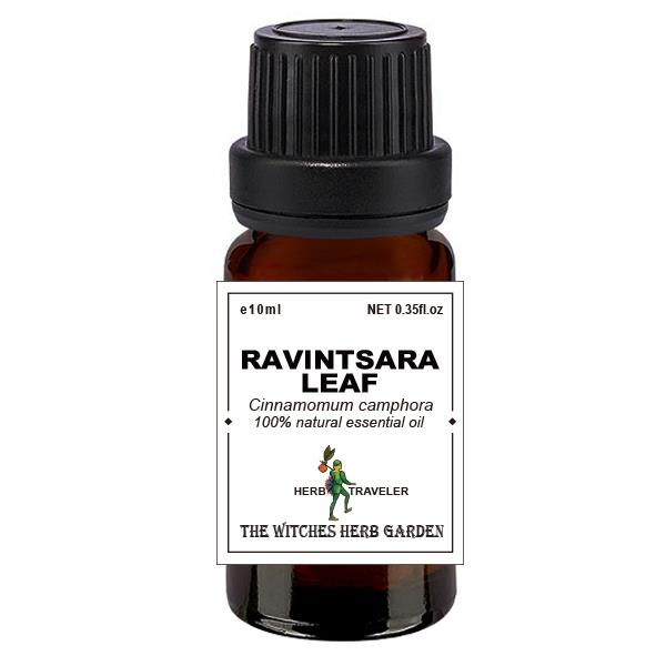 【女巫藥草園】羅文莎葉(桉油樟) / Ravintsara leaf oil (Cinnamomum camphora) / 喬夏嚴選最高品質精油