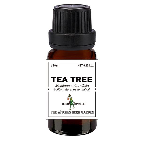 【女巫藥草園】澳洲茶樹精油 / Tea tree oil (Melaleuca alternifolia) / 喬夏嚴選最高品質精油