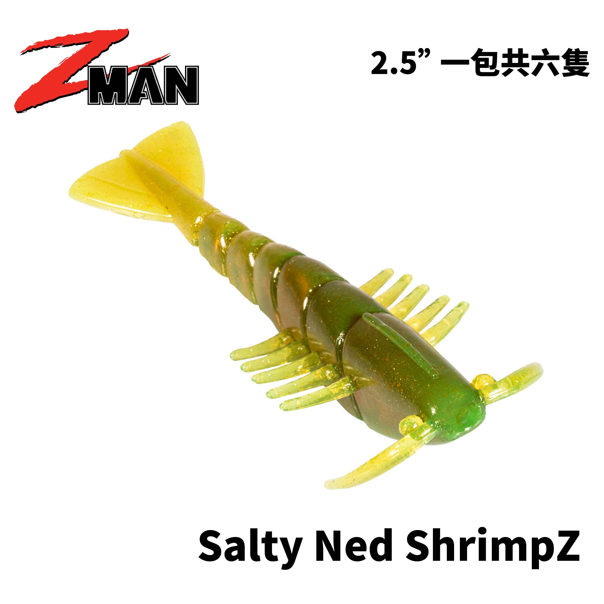 漁網 巾着網・船びき網漁法 - 大阪府鰮巾着網漁業協同組合