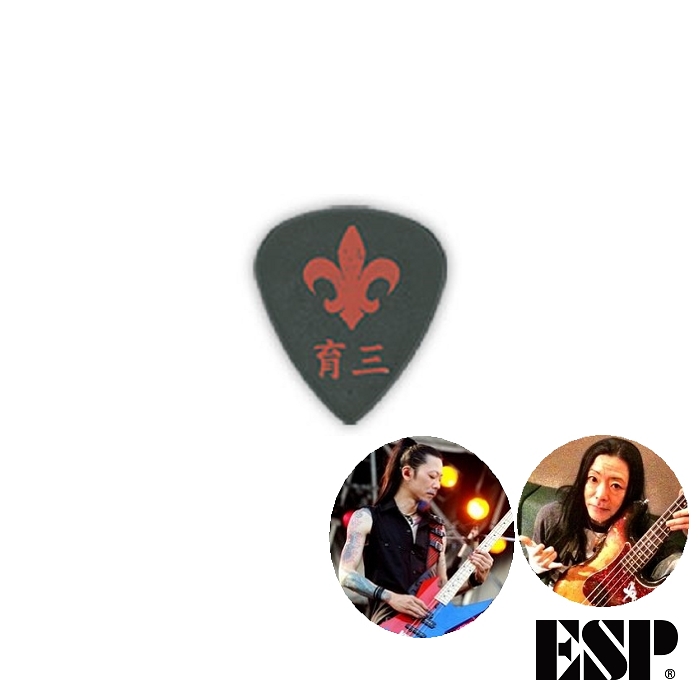 ESP Dragon Ash IKUZONE馬場育三明星簽名匹克PA-DA10 (1片)｜MusicShop