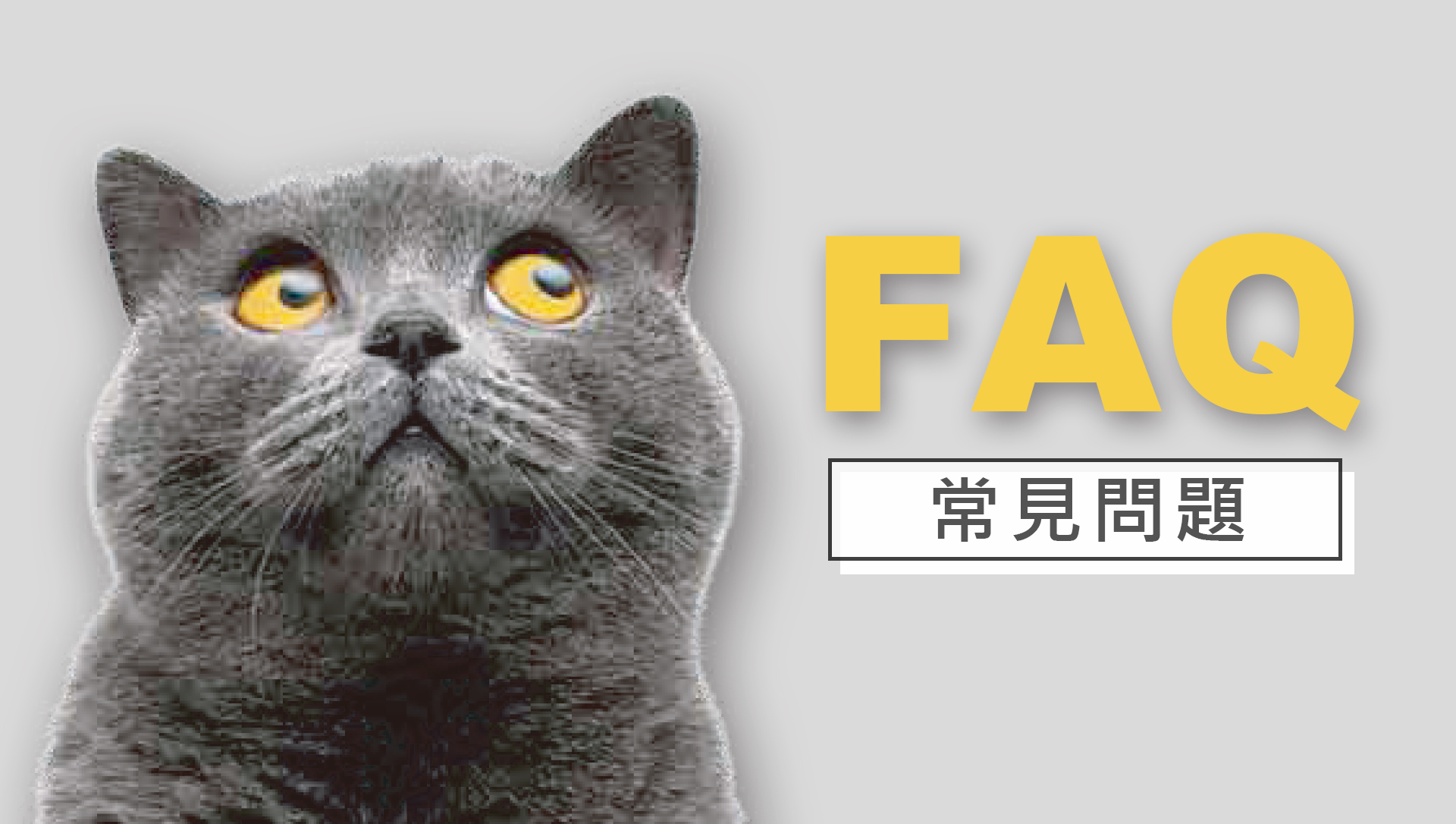 滿版banner