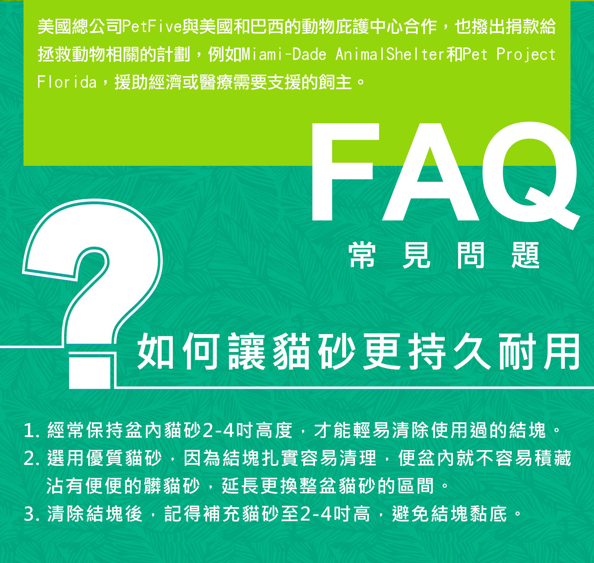滿版banner
