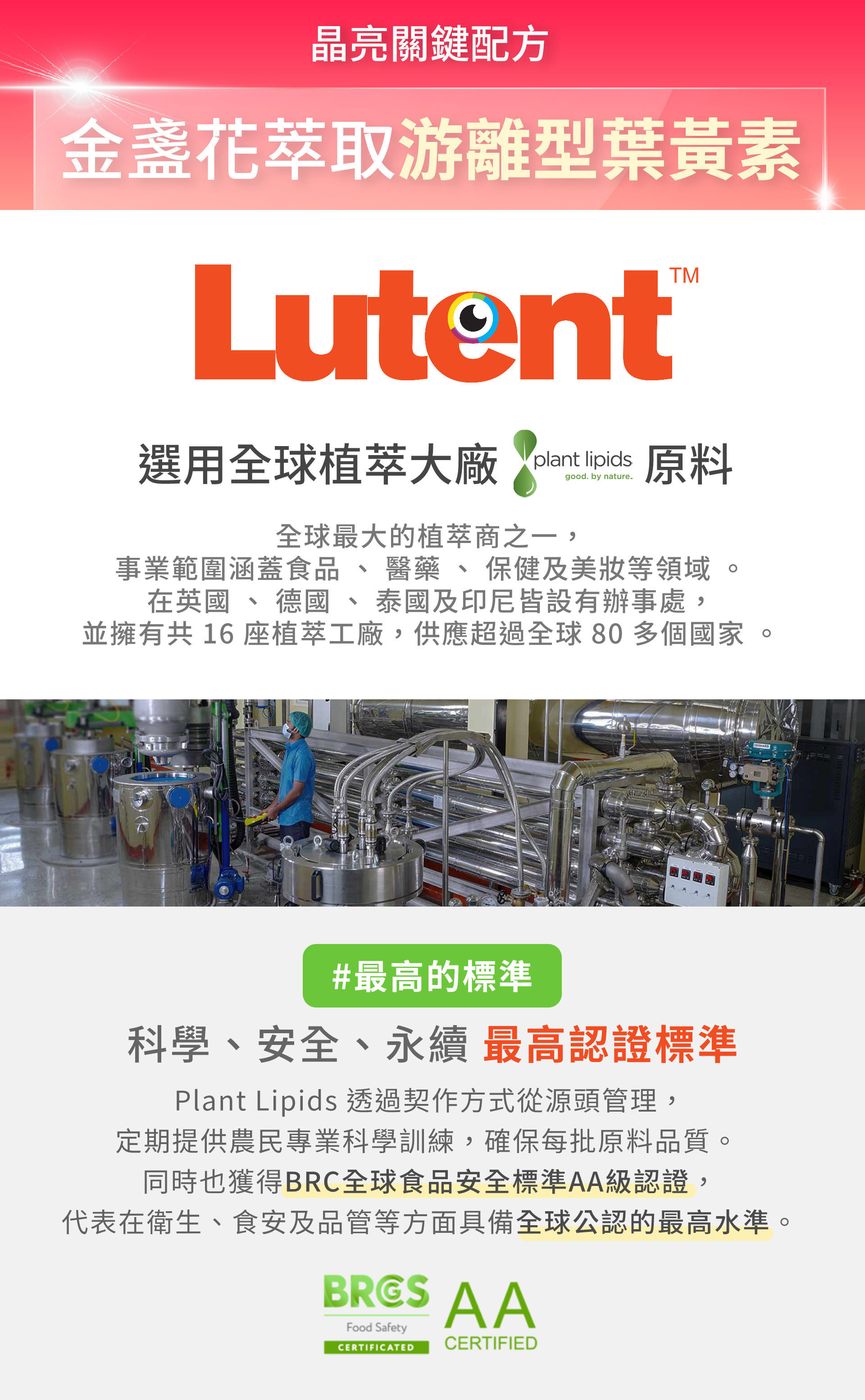 滿版banner