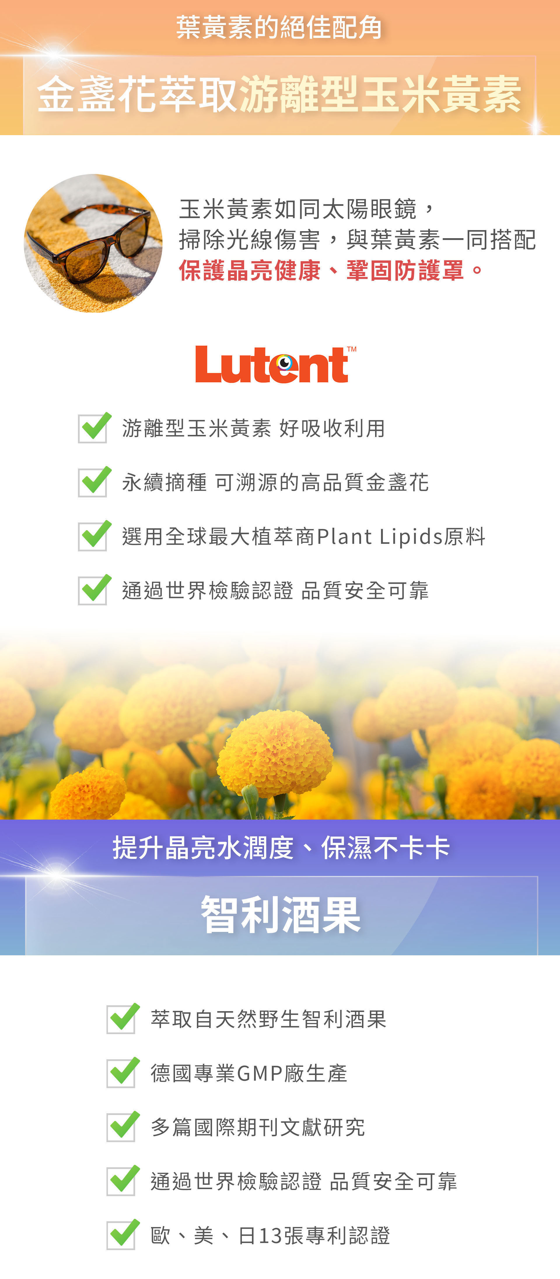 滿版banner