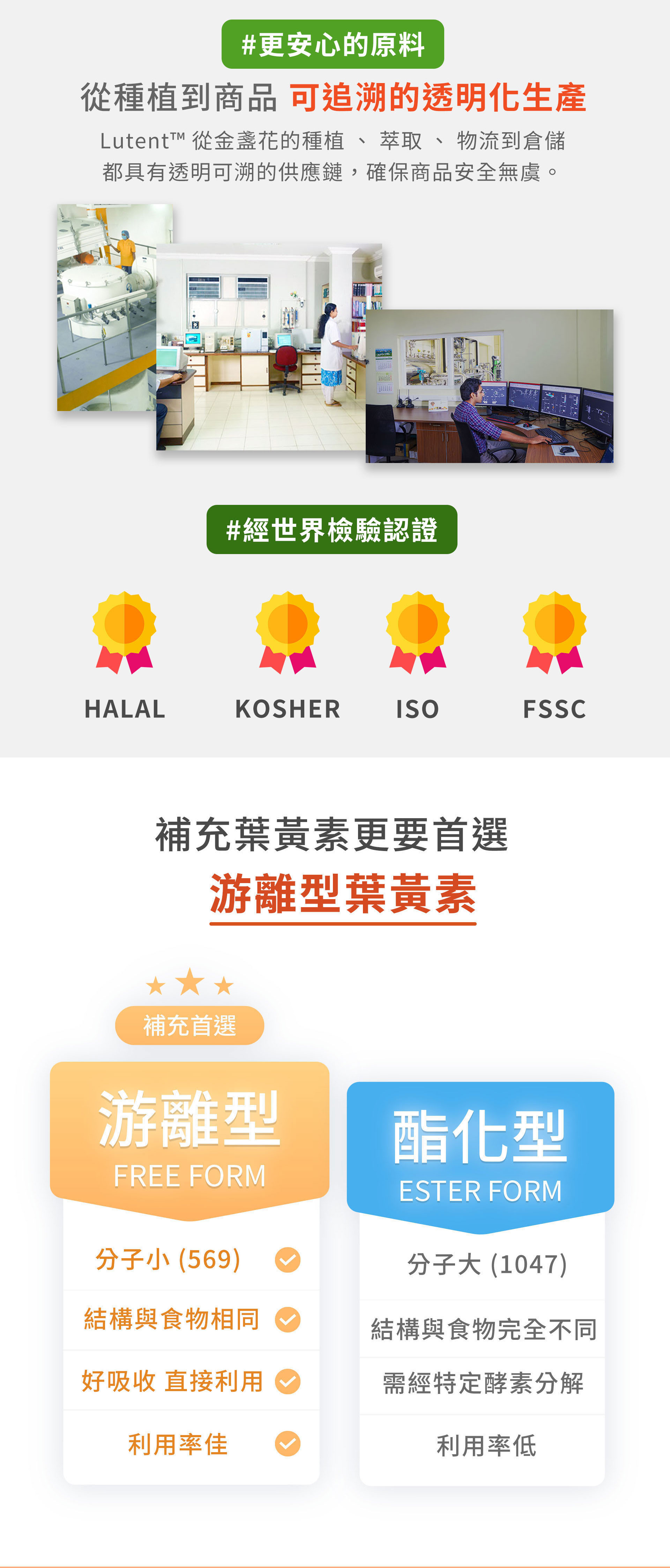 滿版banner