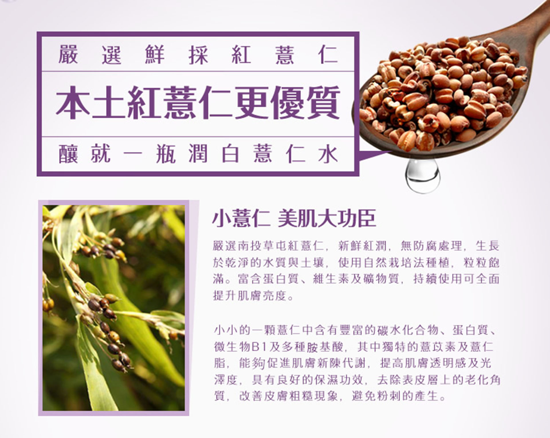 滿版banner