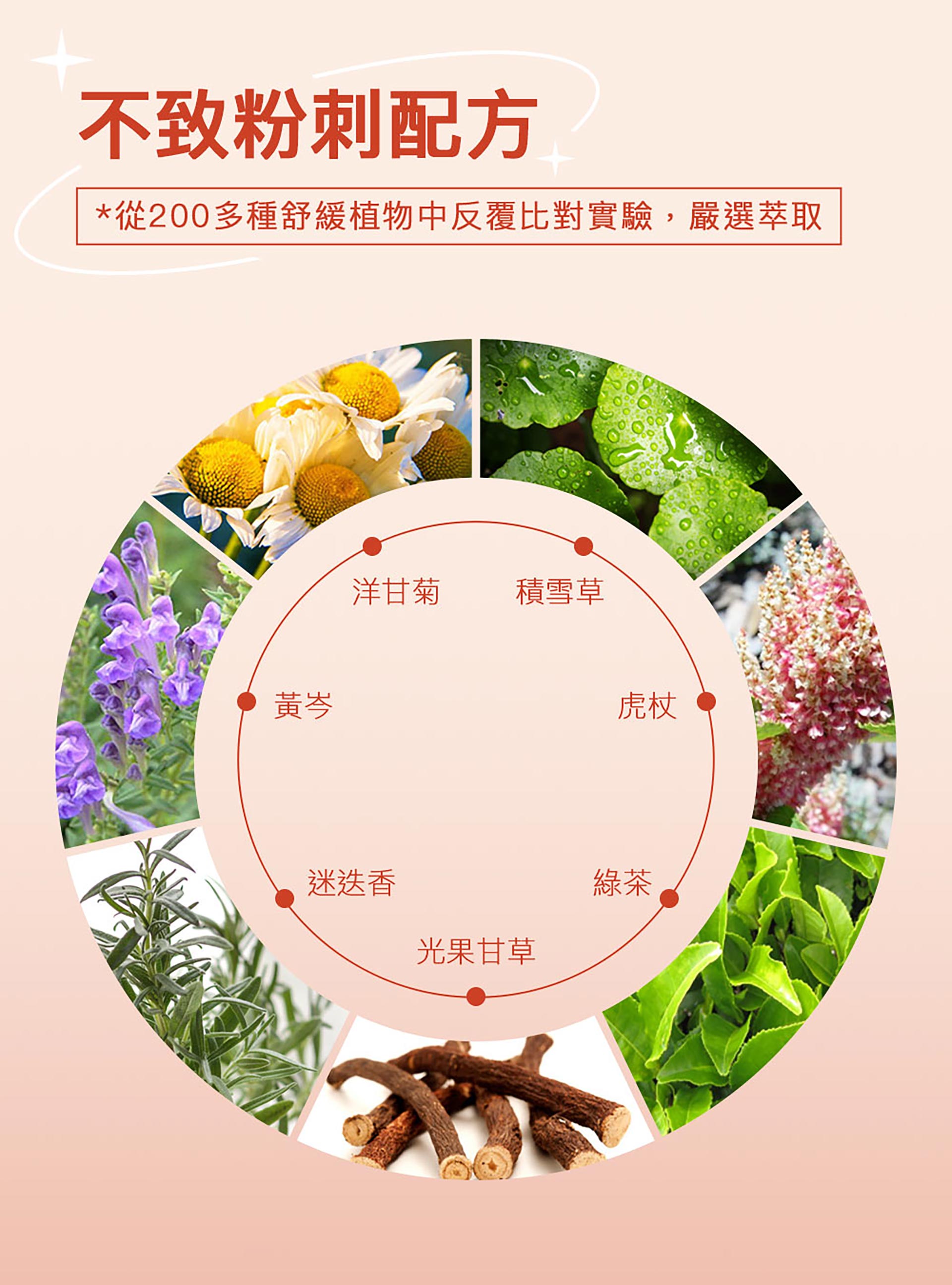 滿版banner