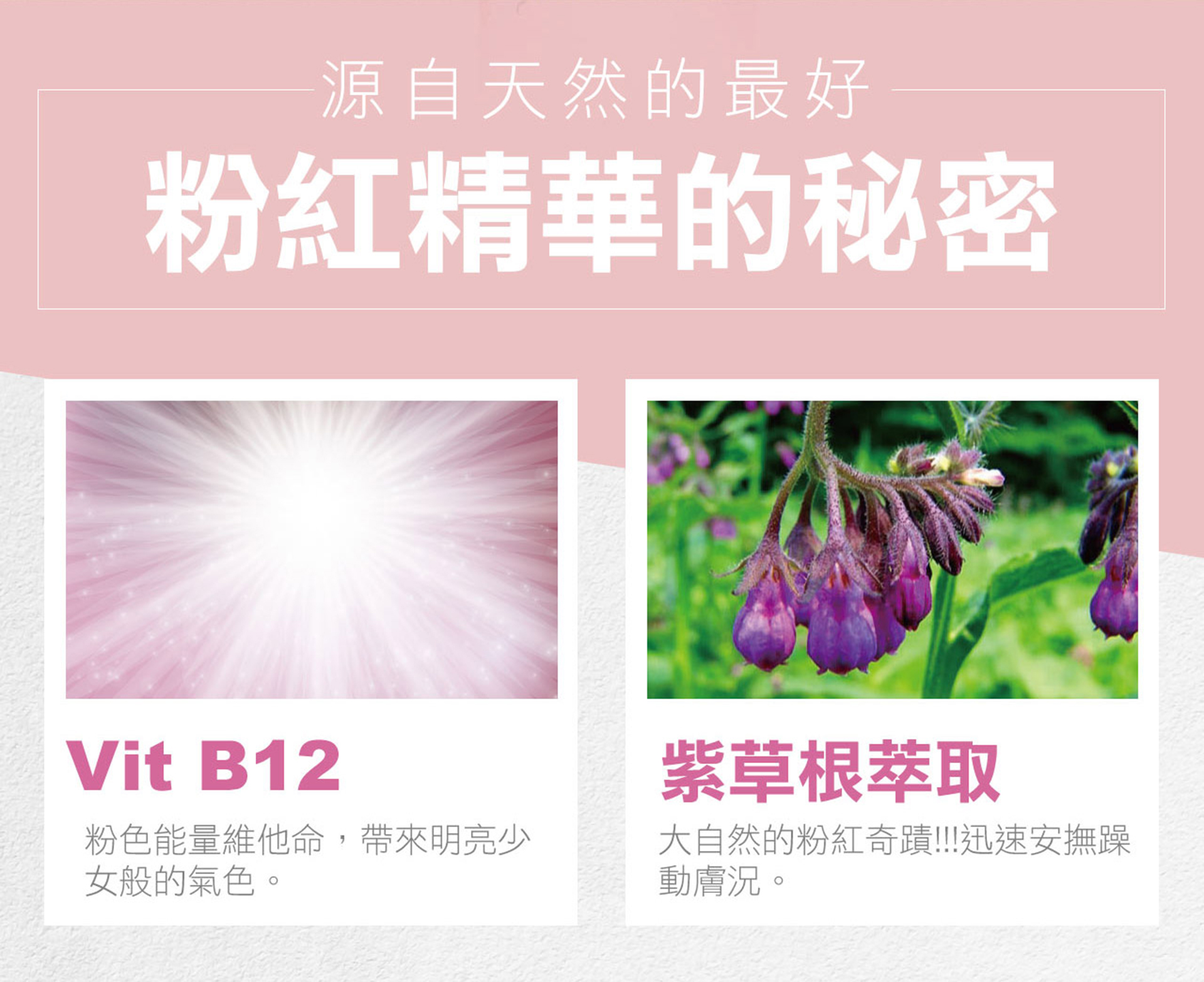 滿版banner