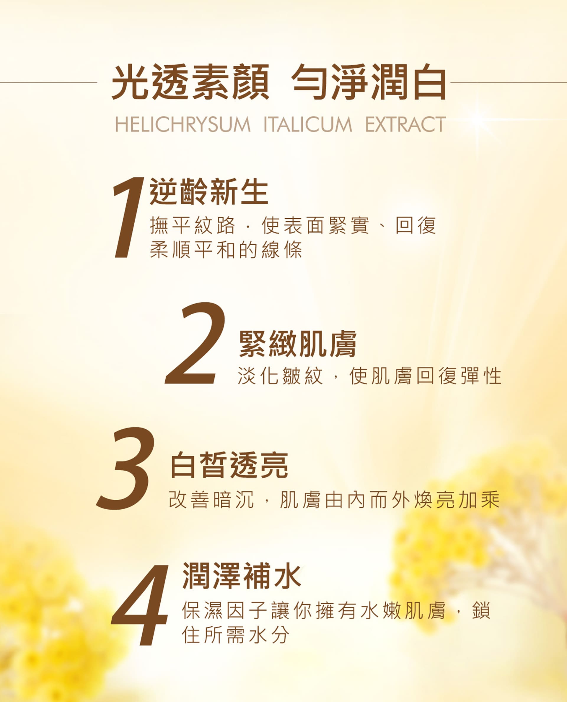 滿版banner