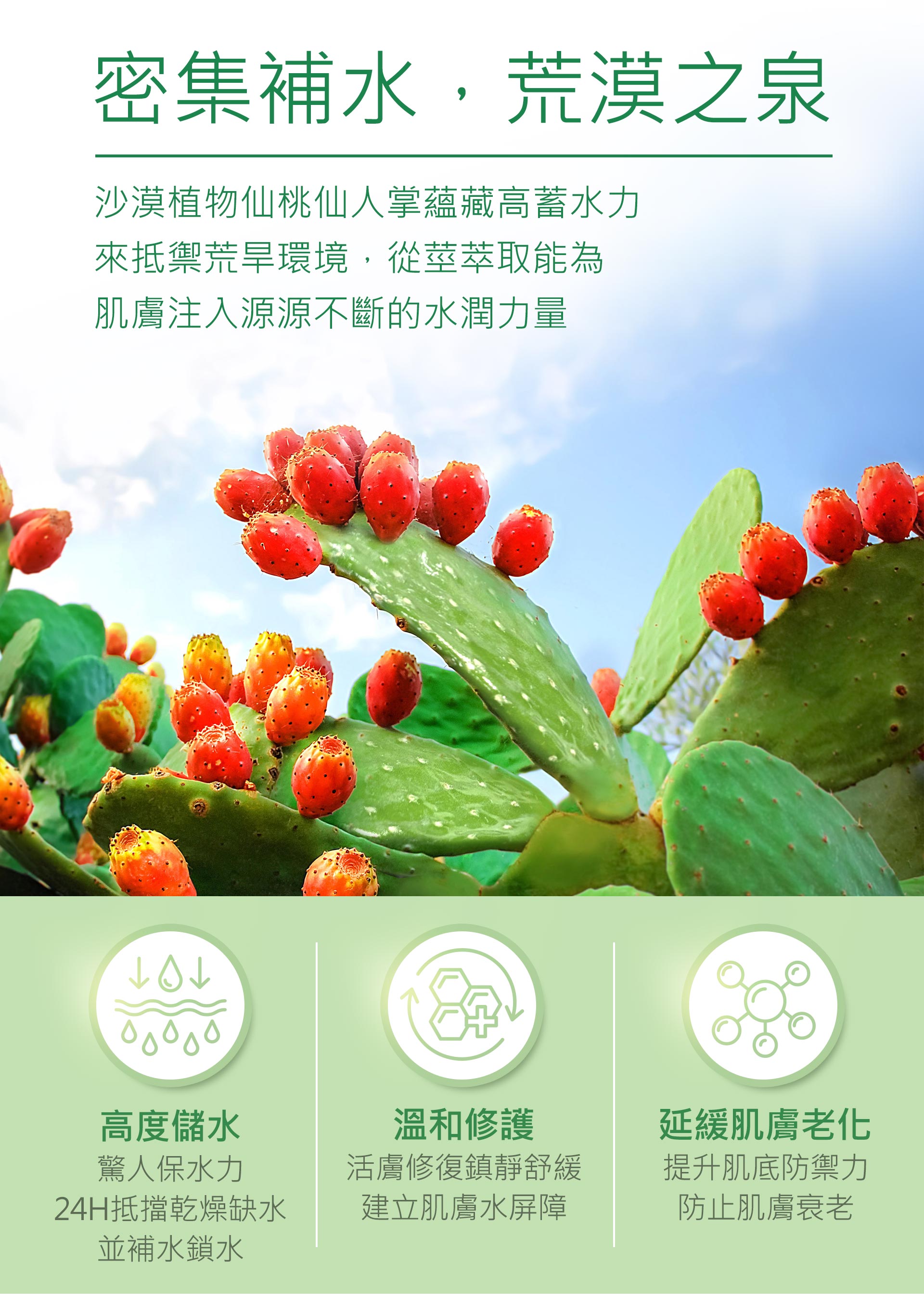 滿版banner