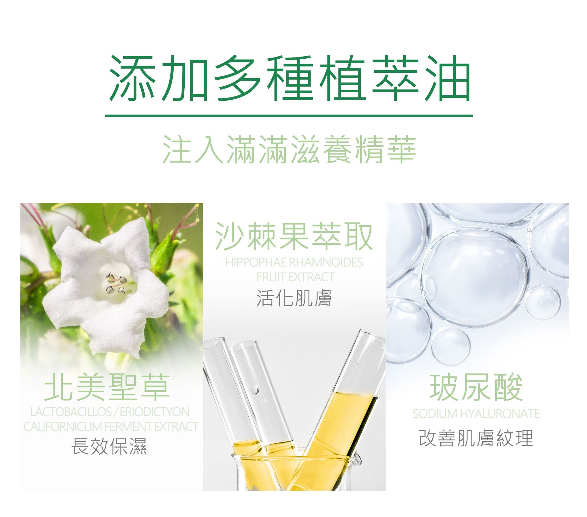 滿版banner