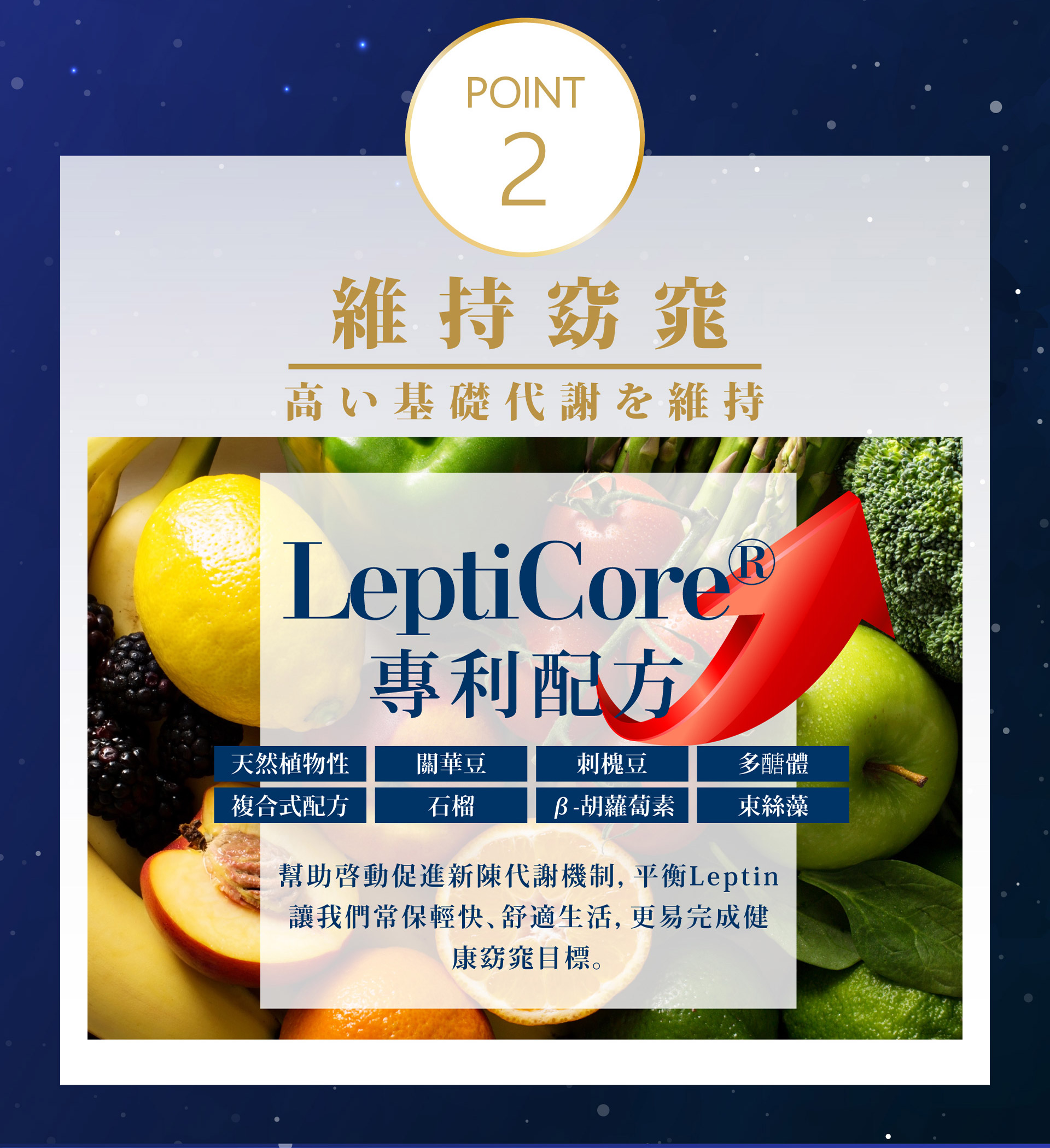 滿版banner