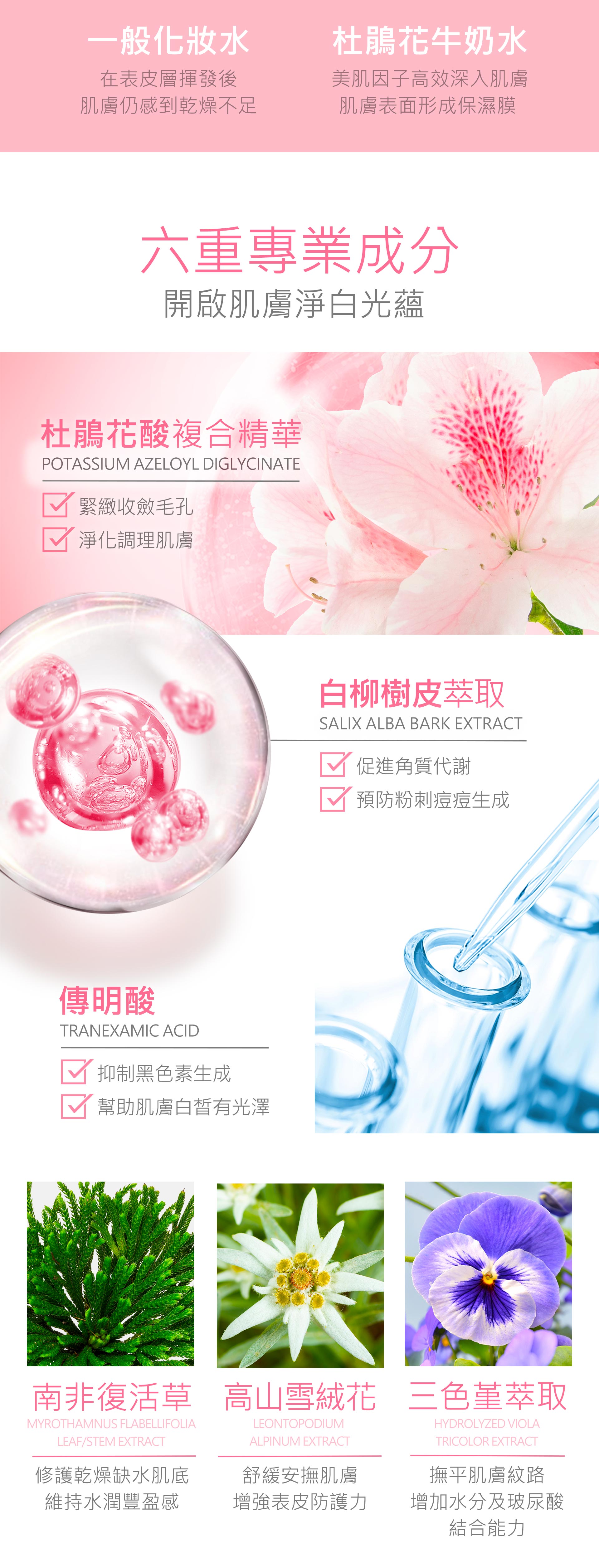 滿版banner