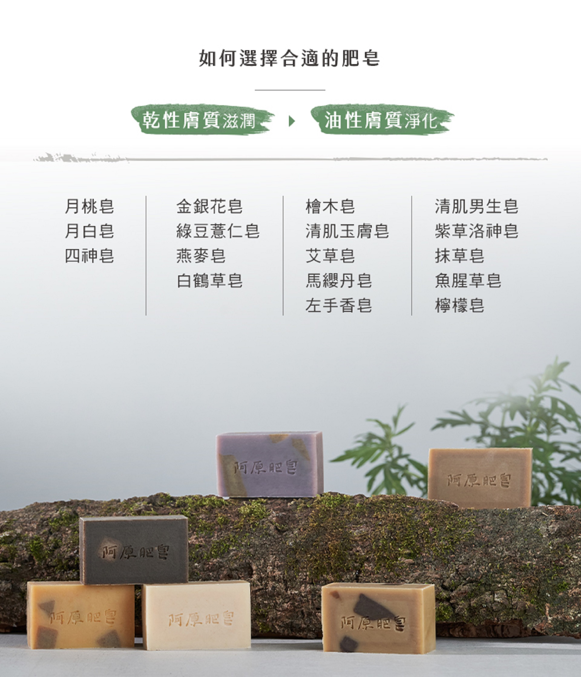 滿版banner