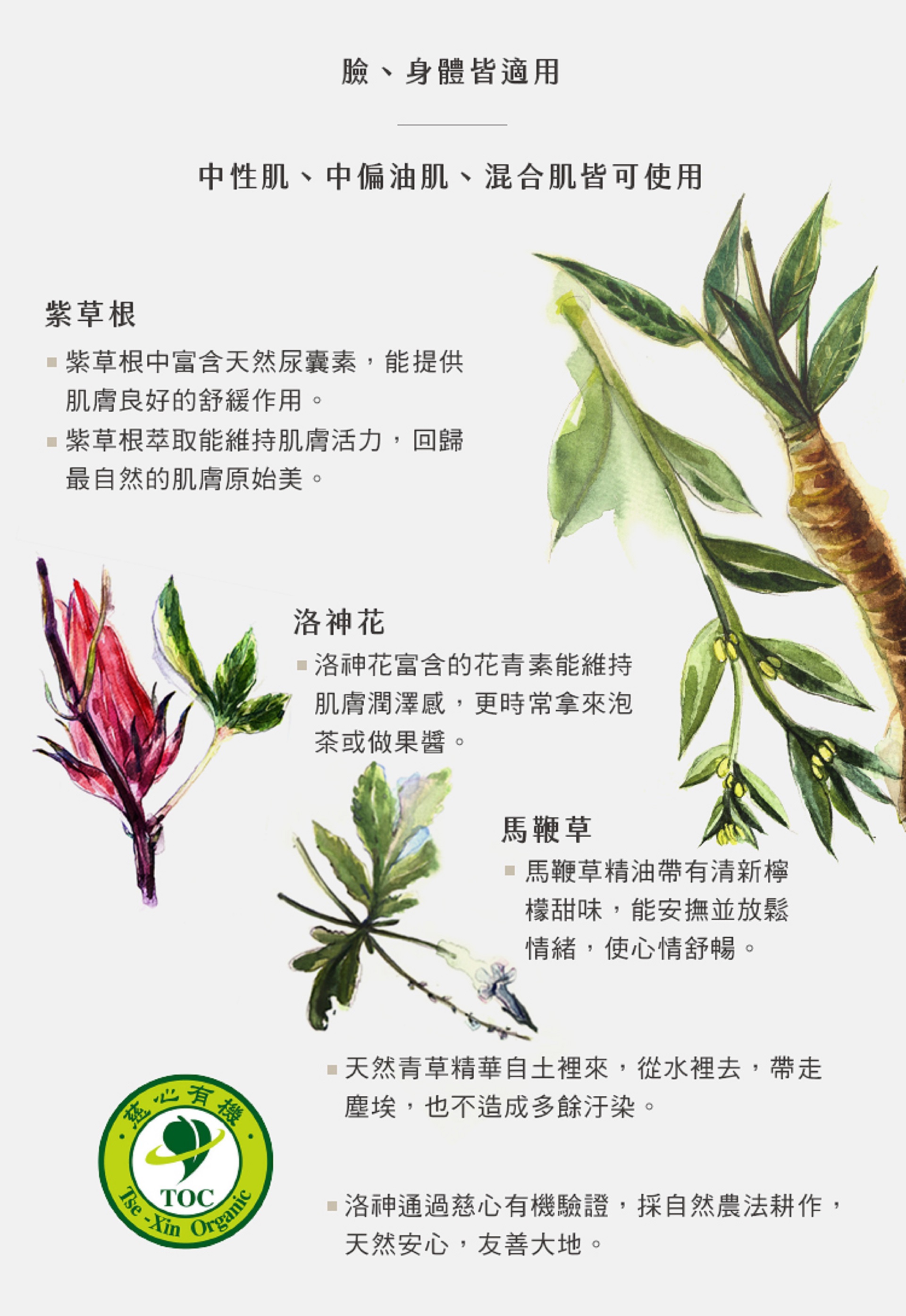 滿版banner