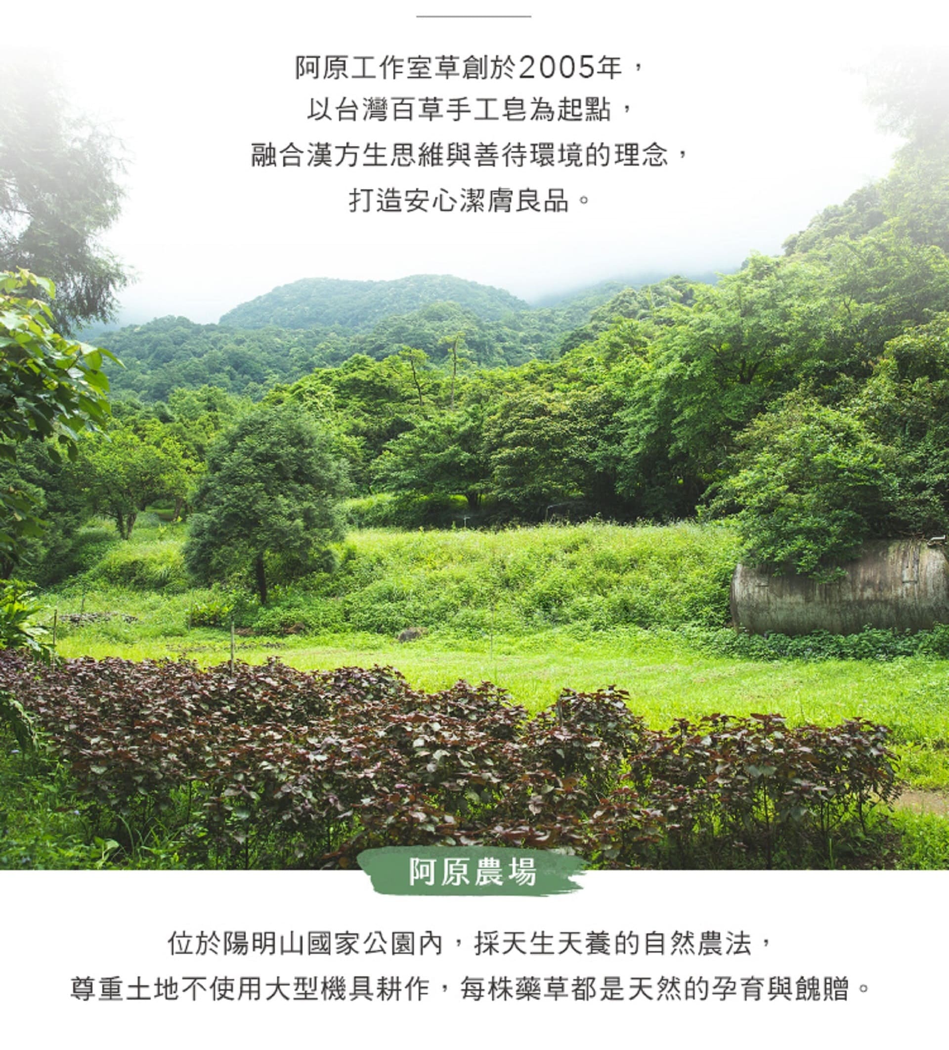 滿版banner