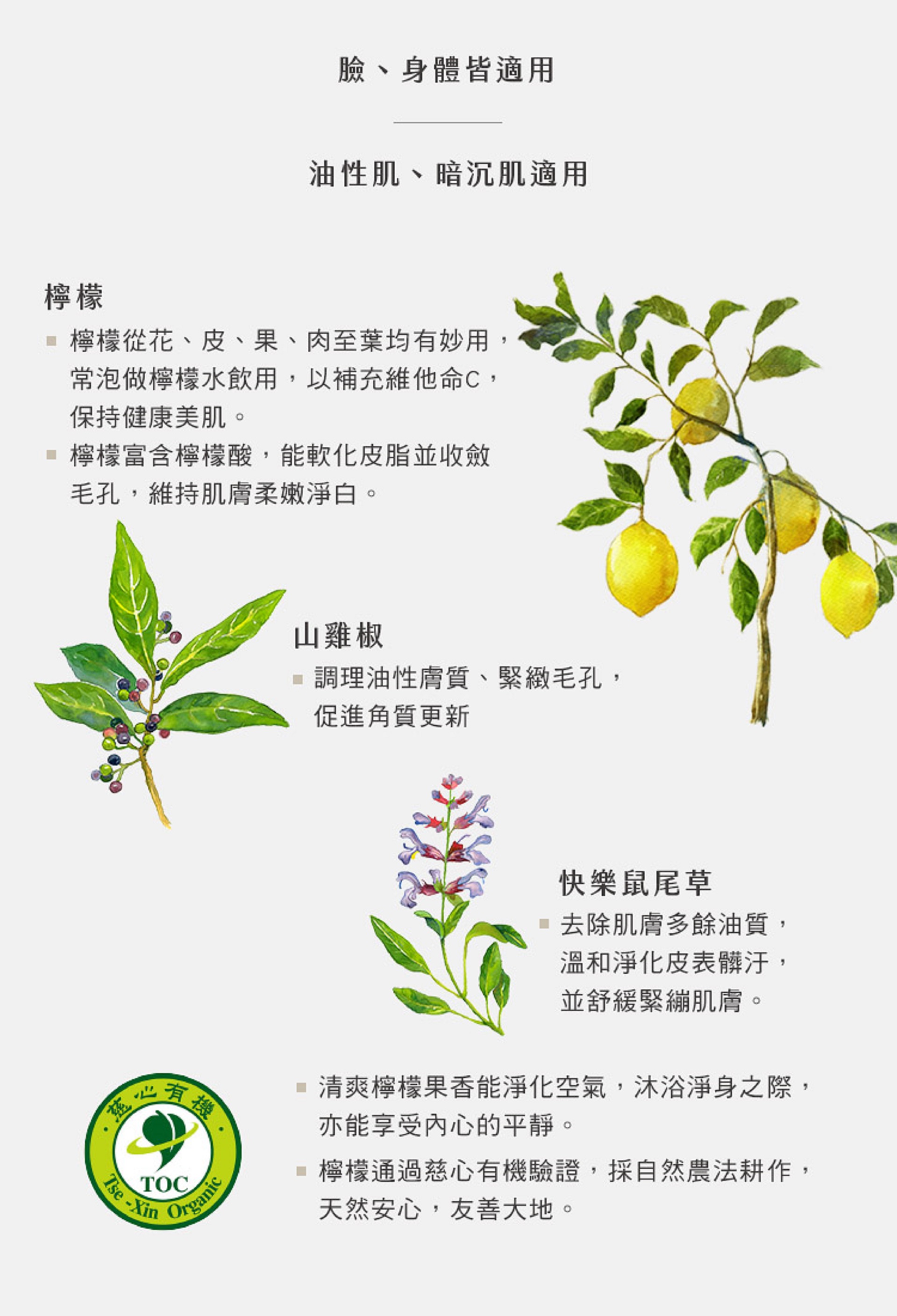 滿版banner