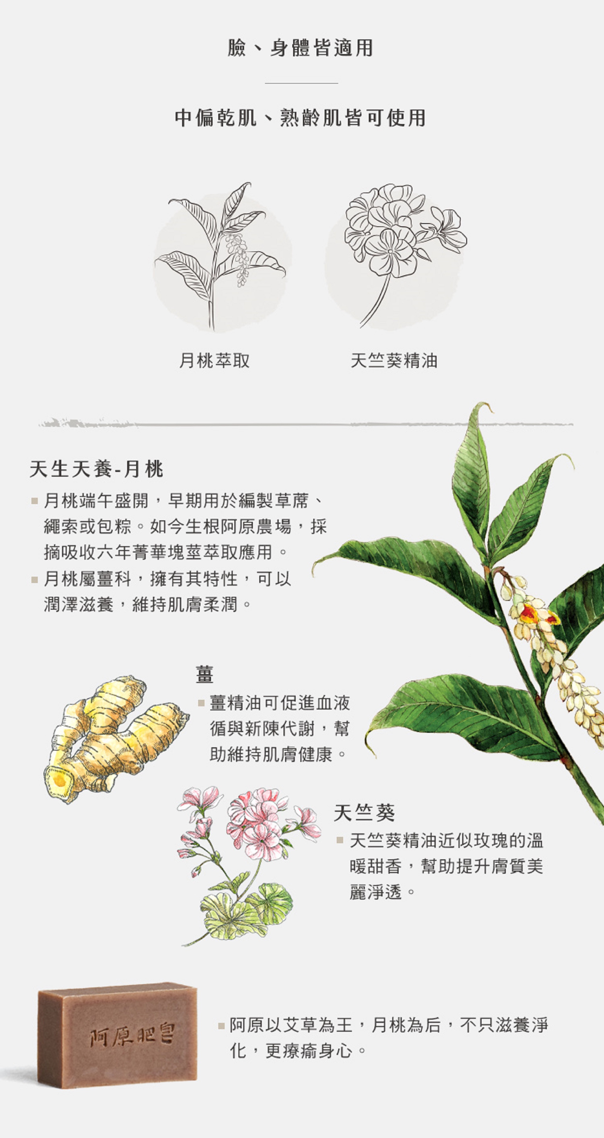 滿版banner