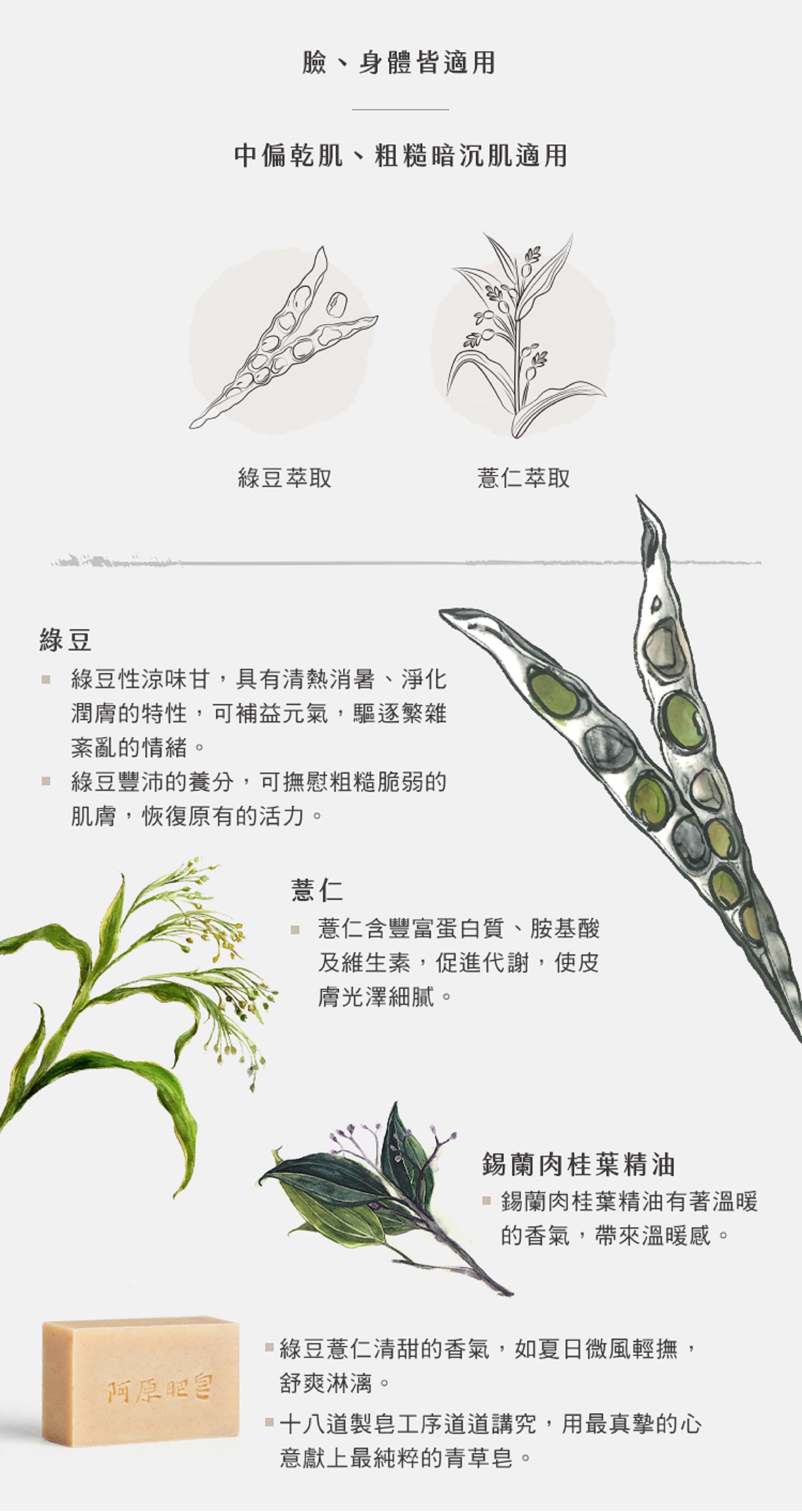 滿版banner