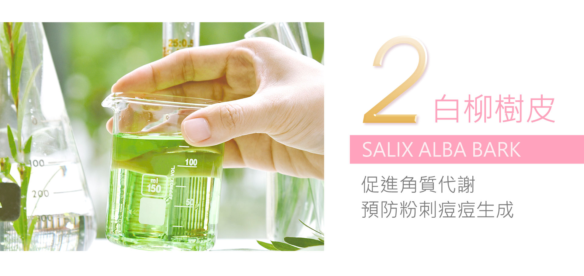 滿版banner