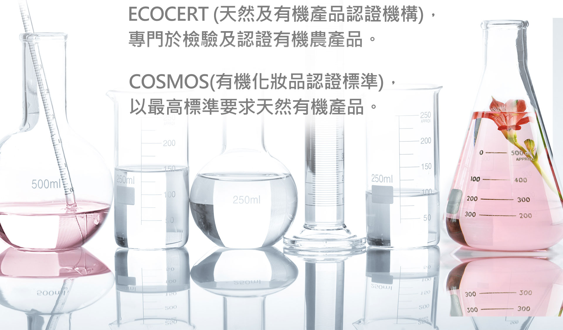 滿版banner
