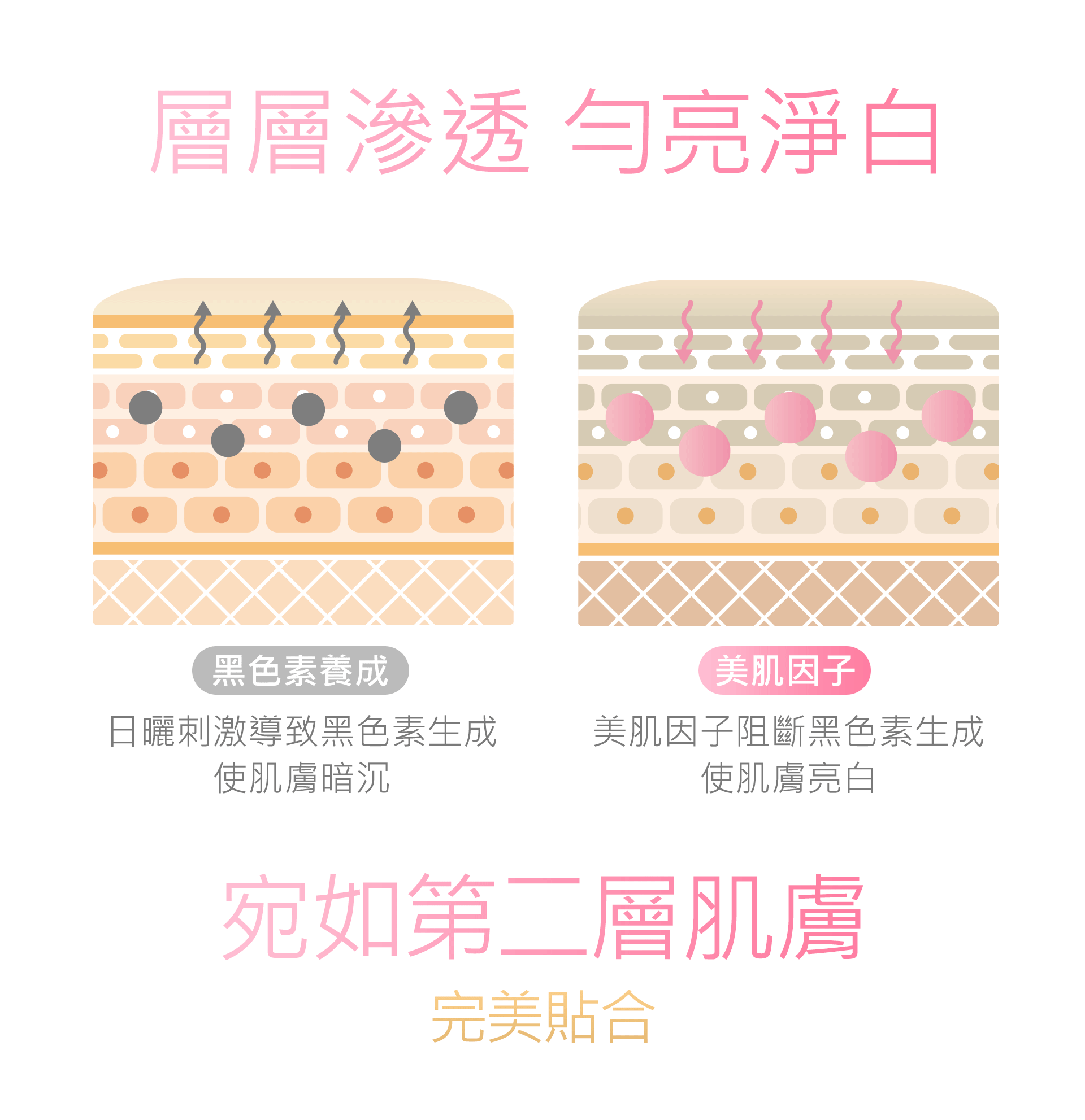 滿版banner