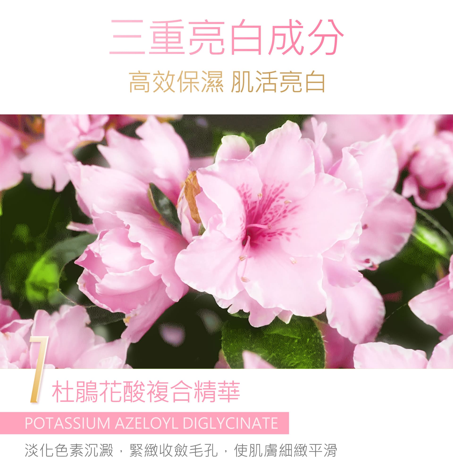 滿版banner
