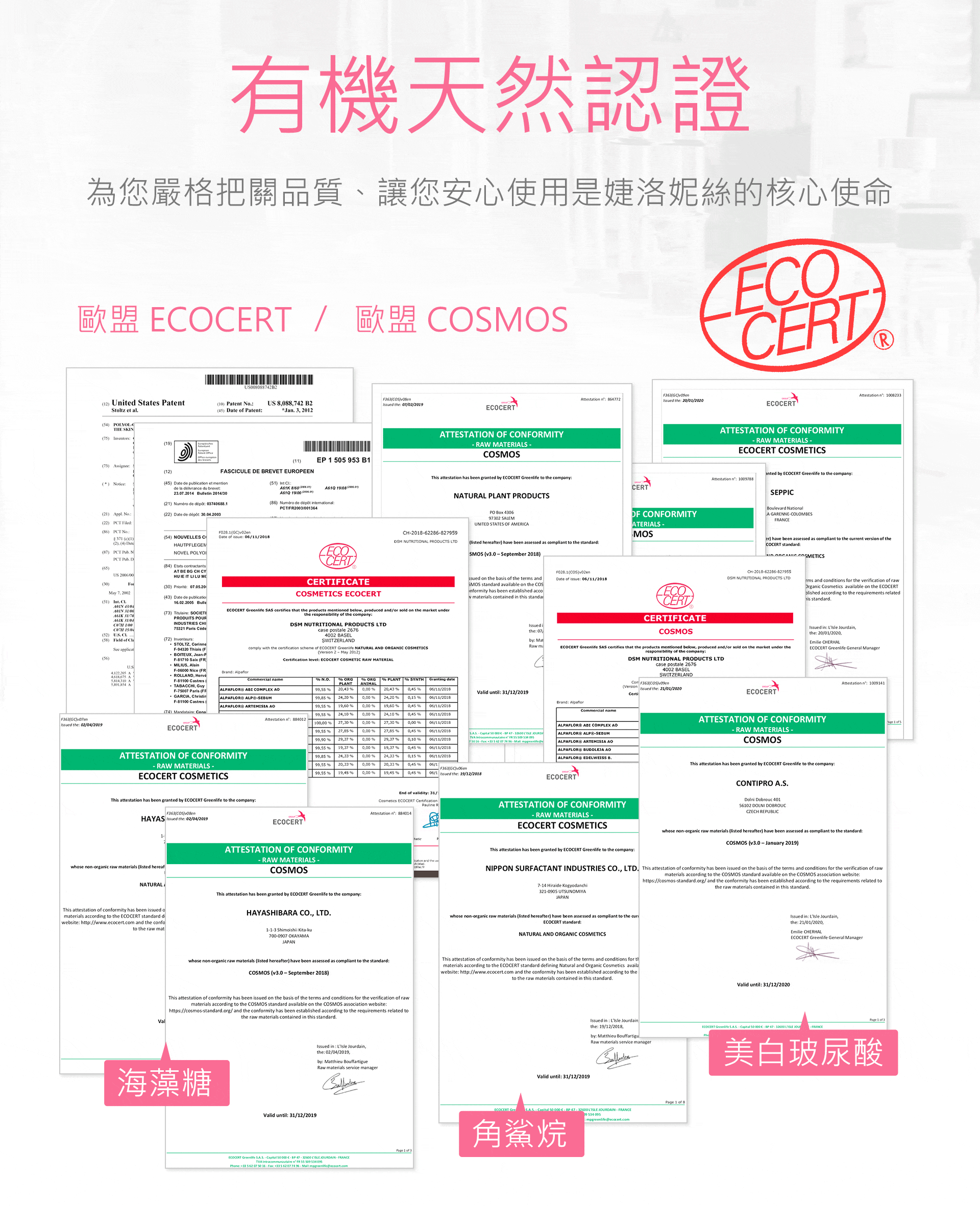 滿版banner
