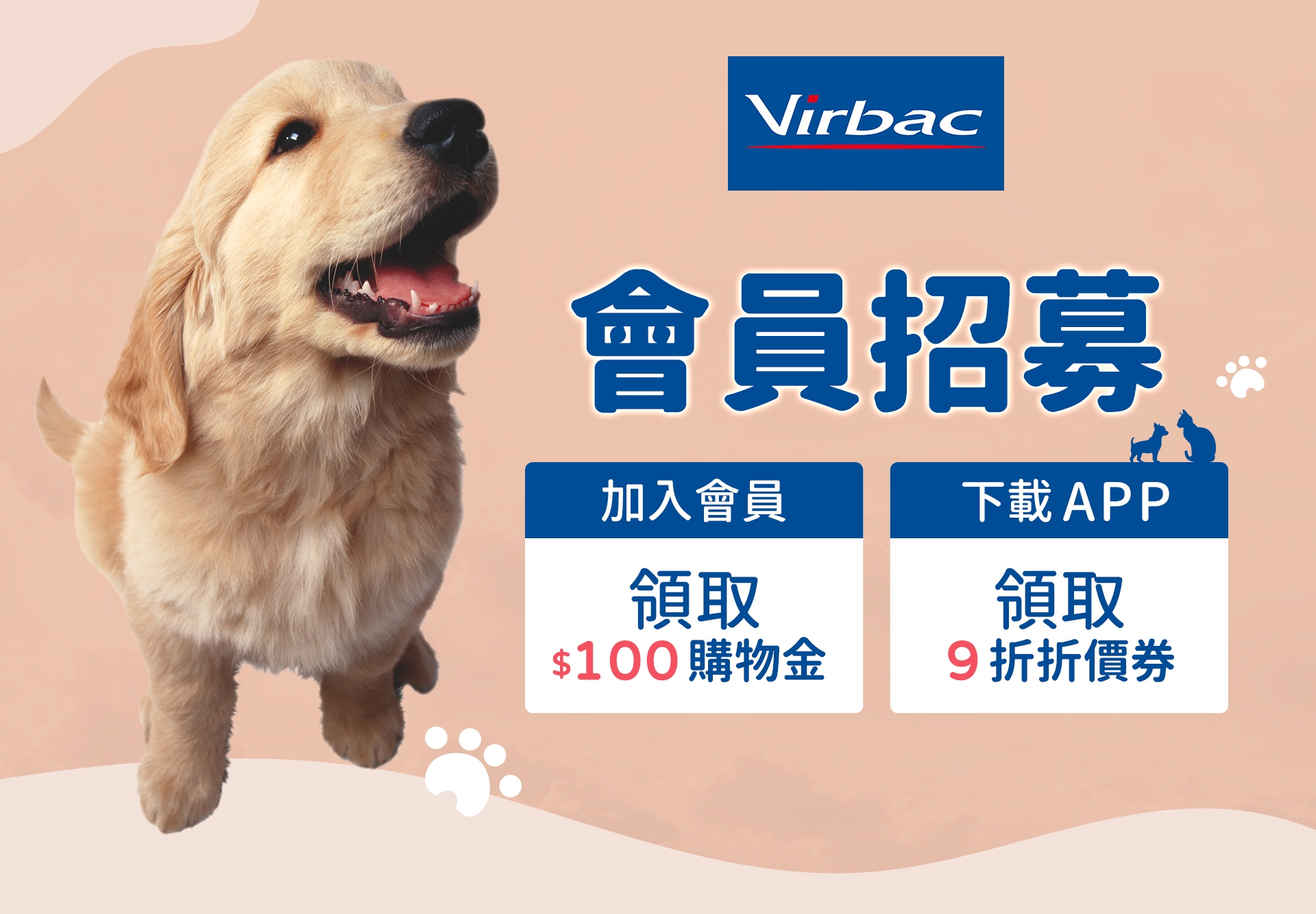 滿版banner