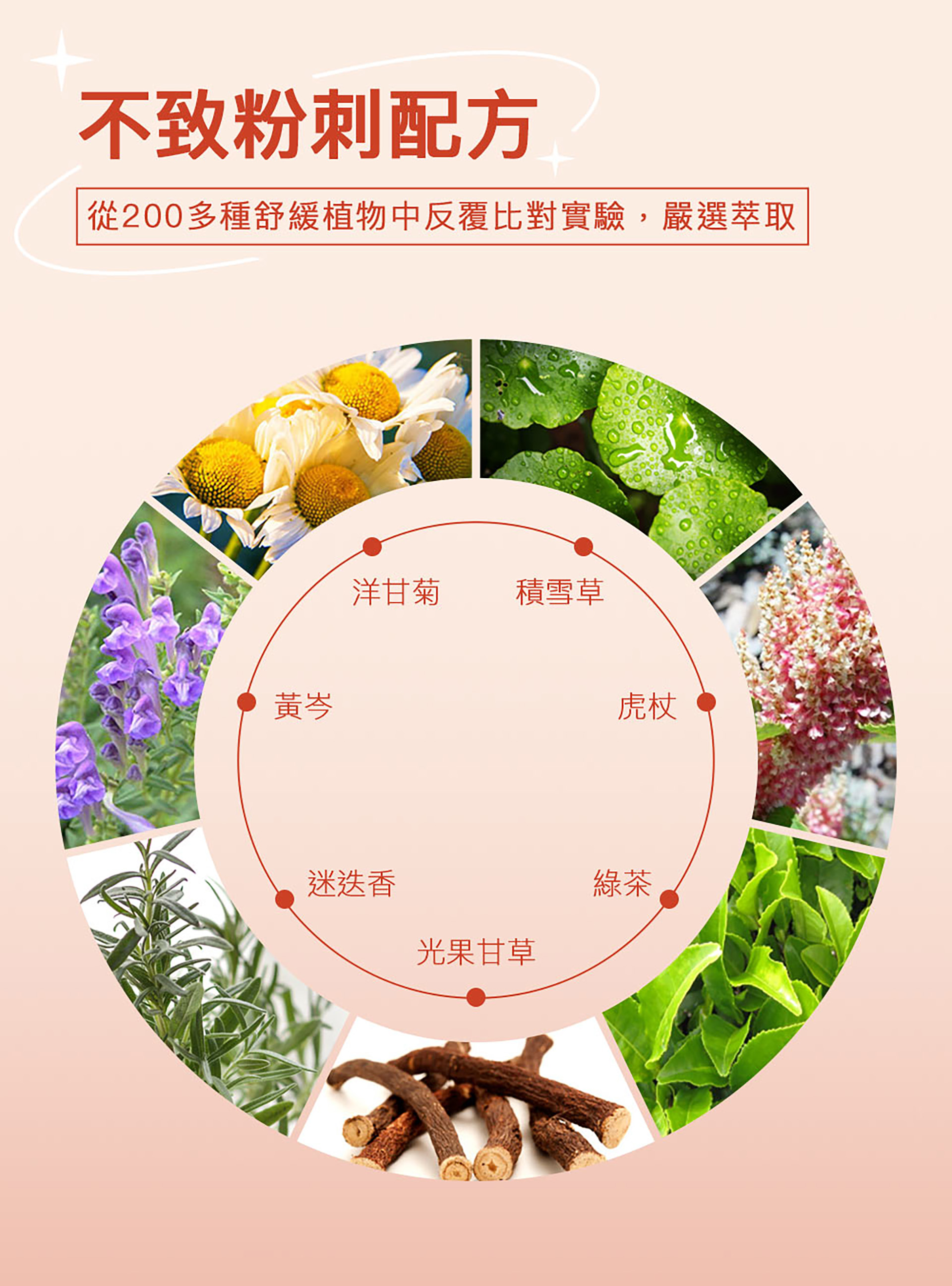 滿版banner