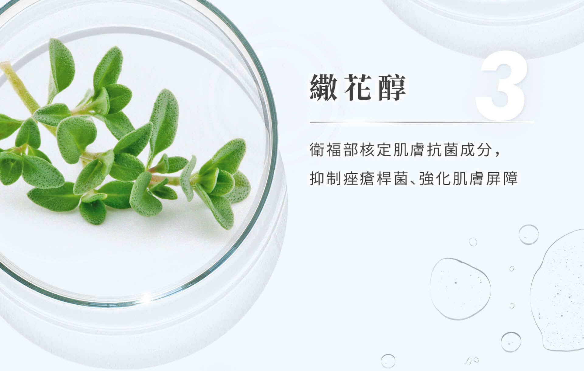 滿版banner