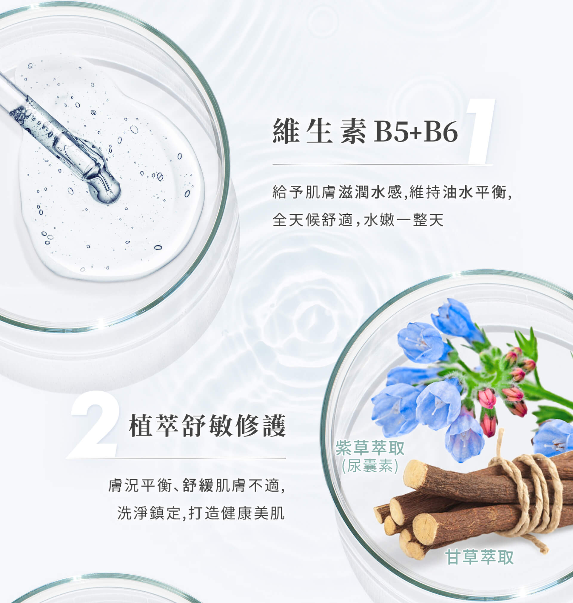滿版banner