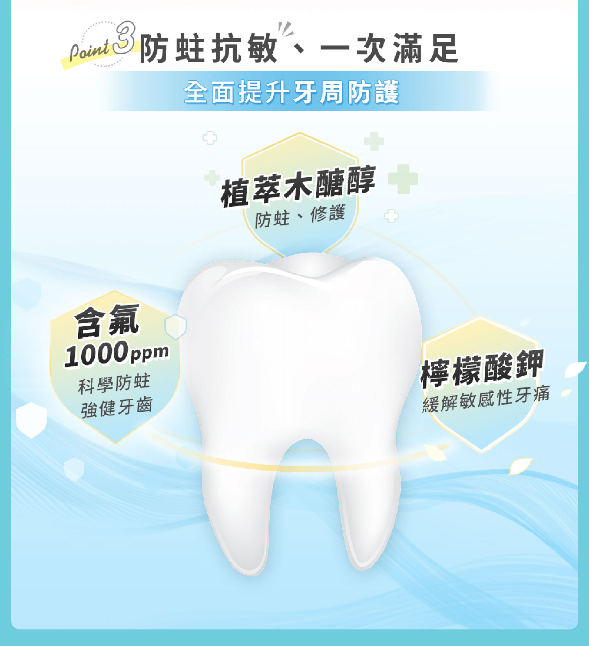 滿版banner