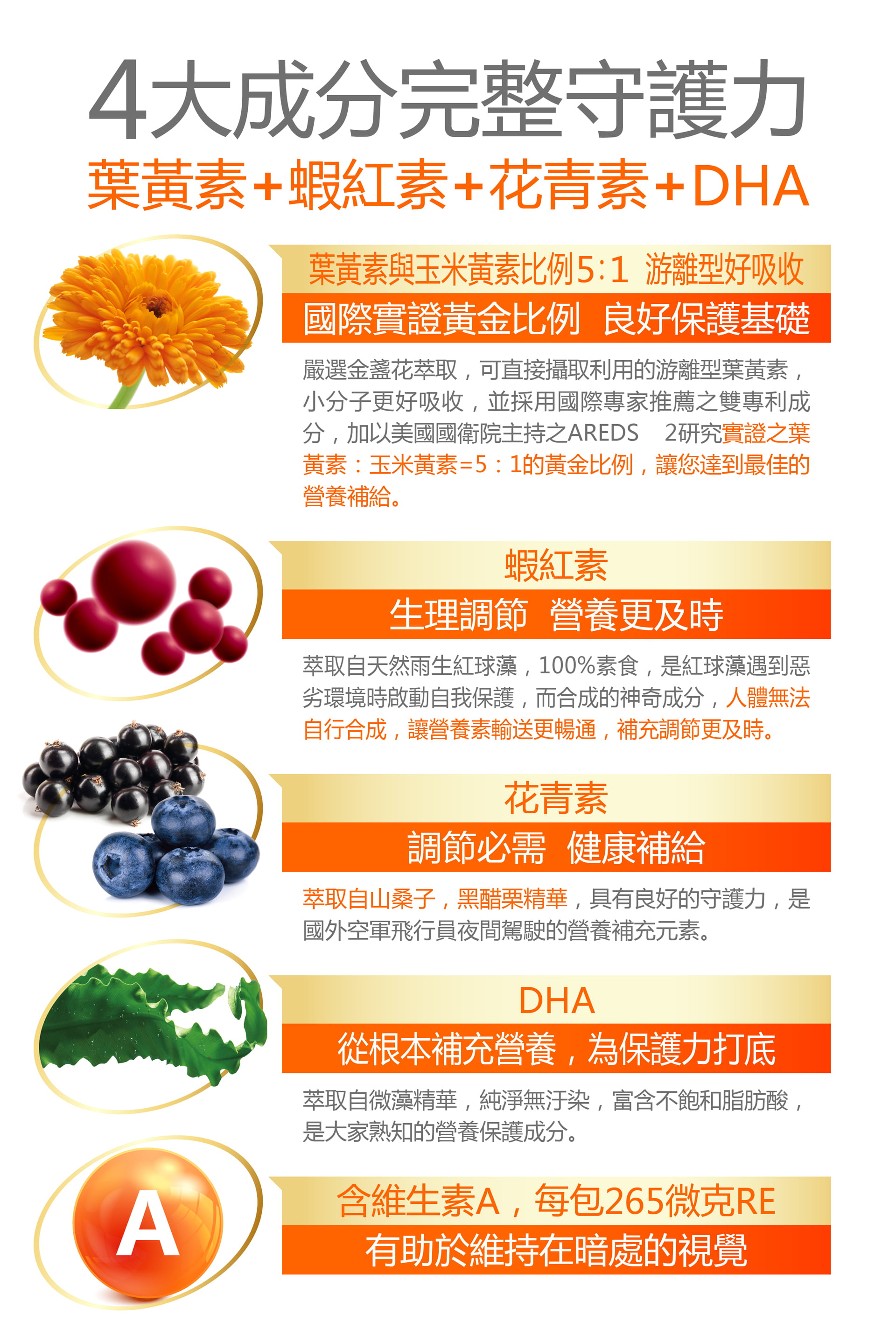 滿版banner