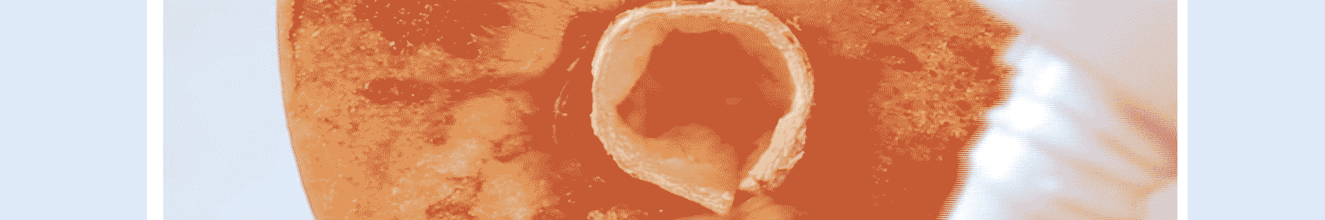 滿版banner