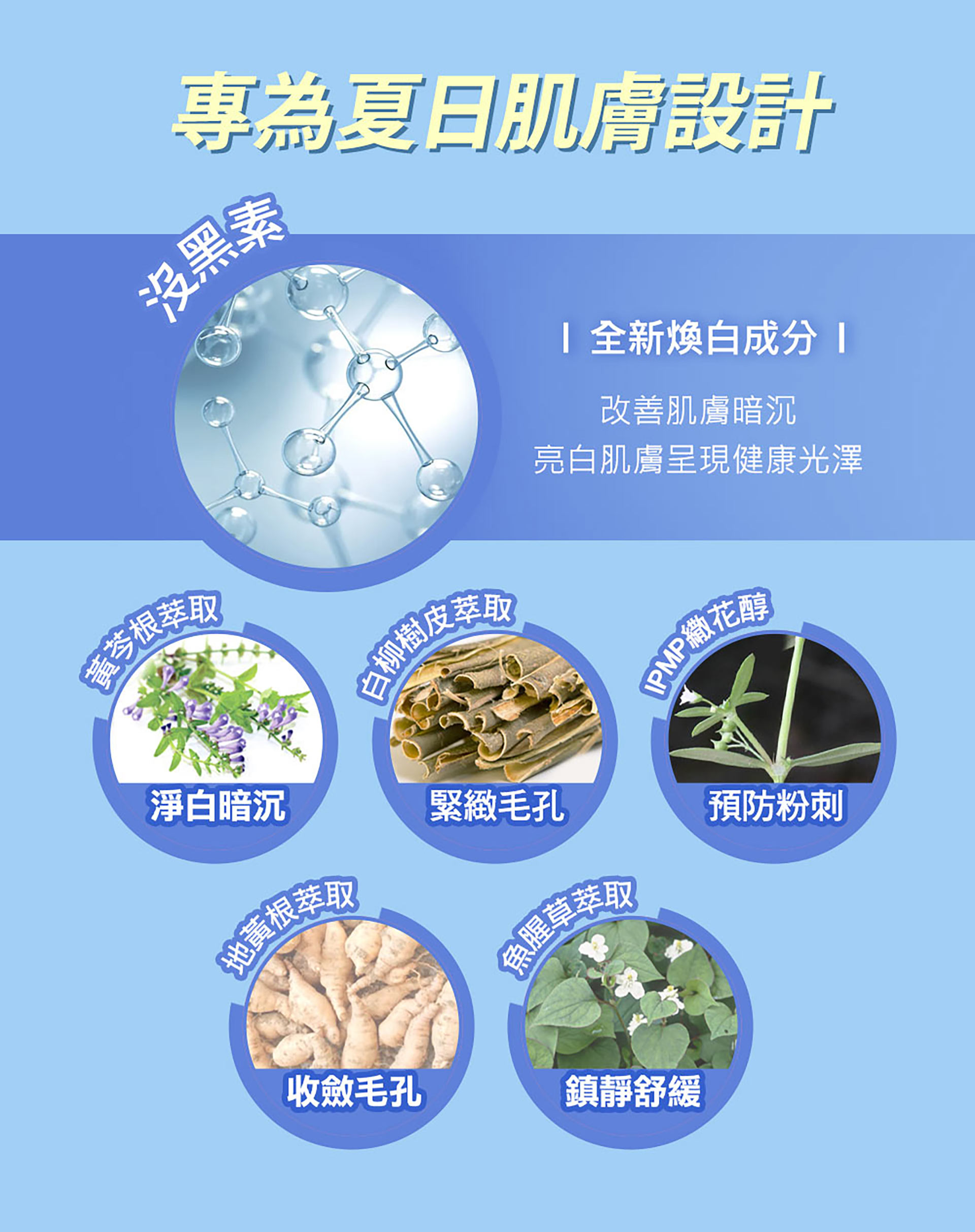 滿版banner