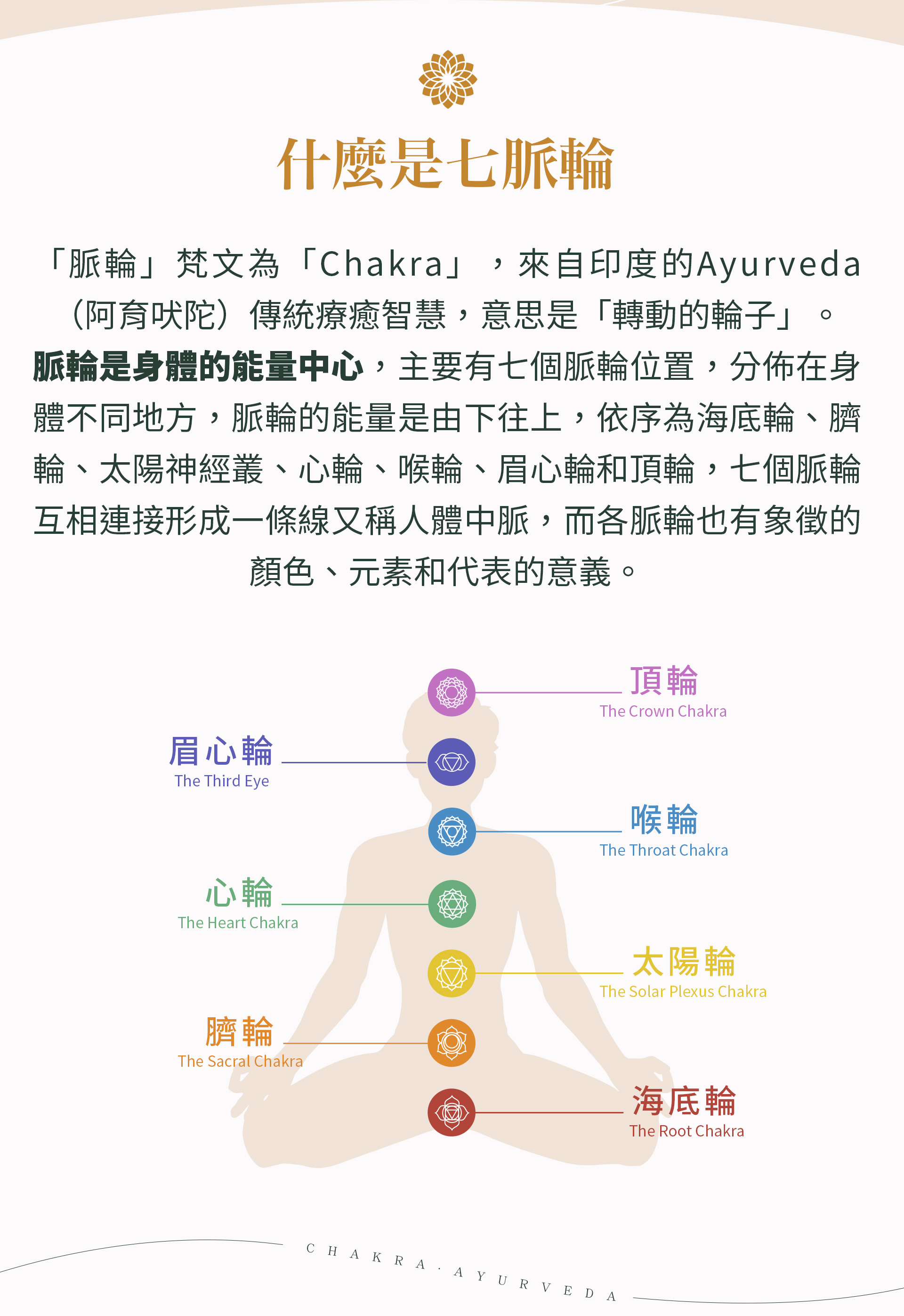 滿版banner