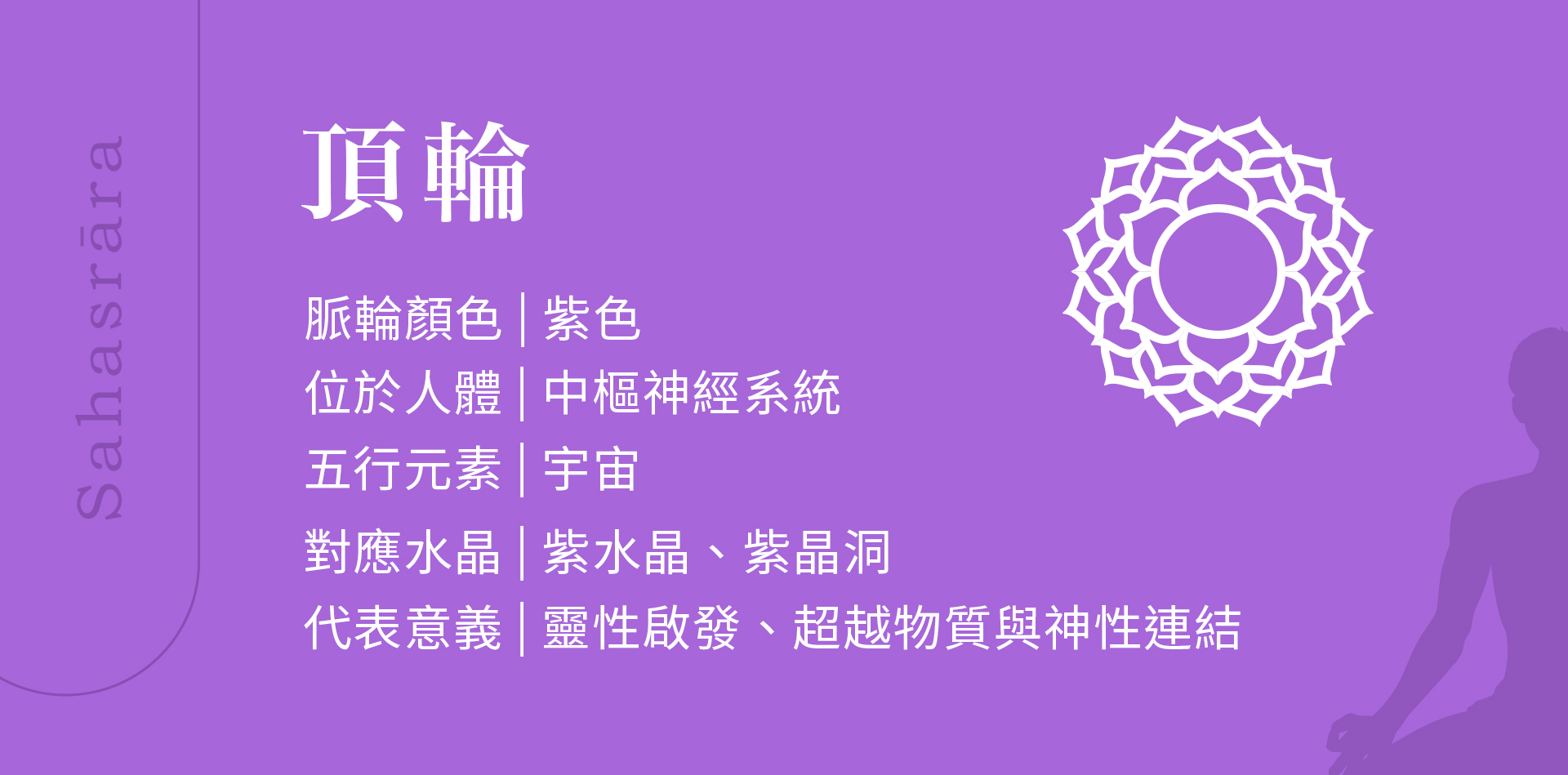 滿版banner