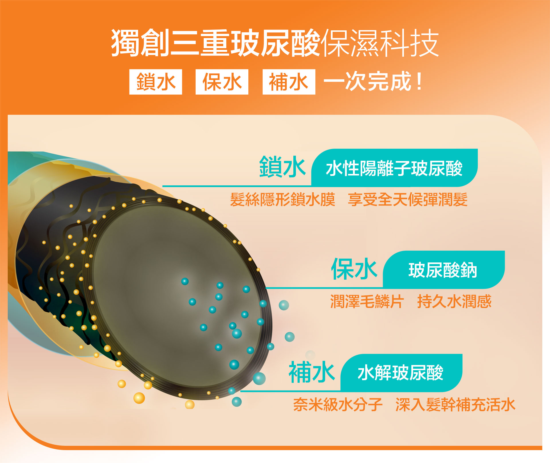滿版banner