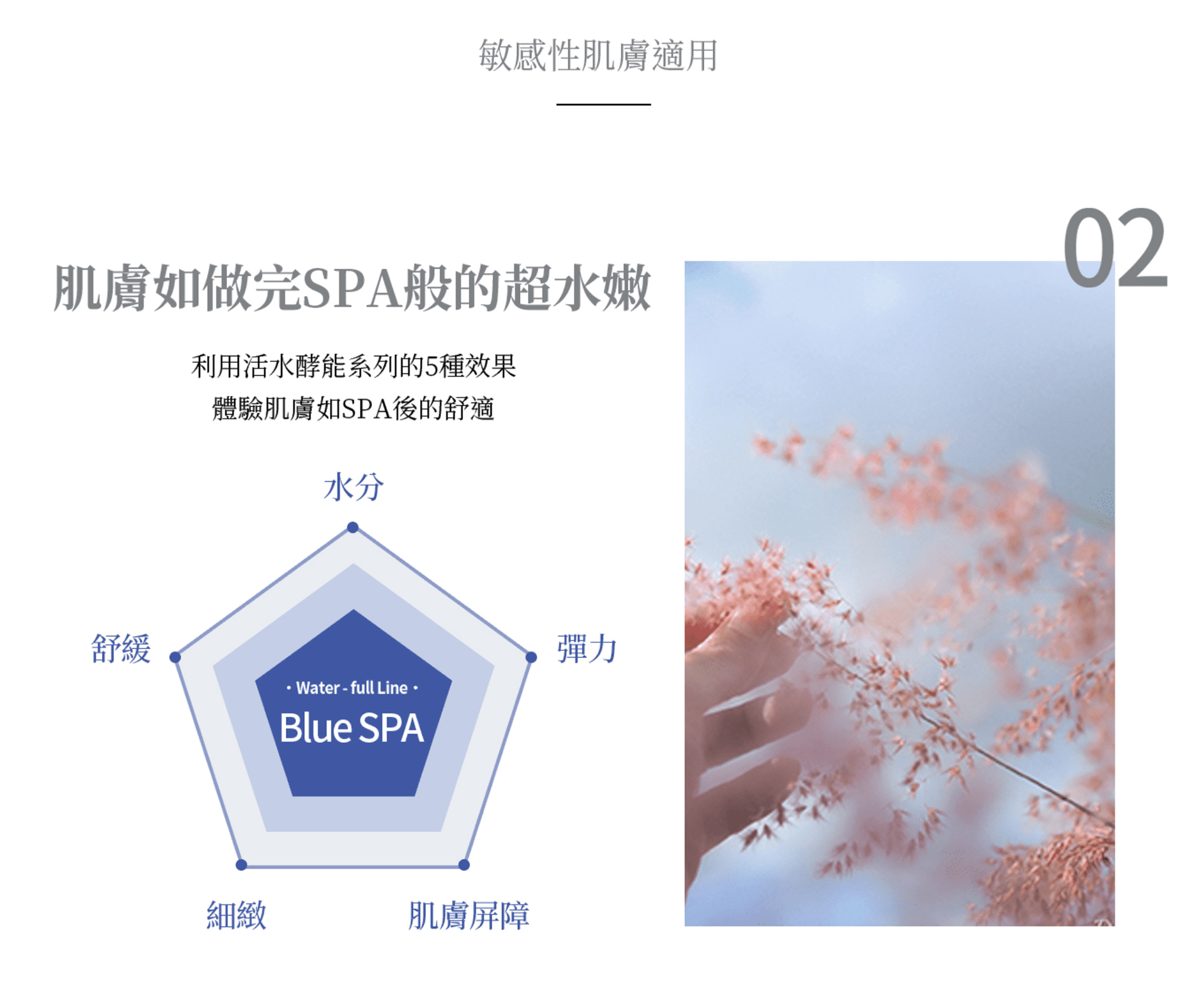 滿版banner