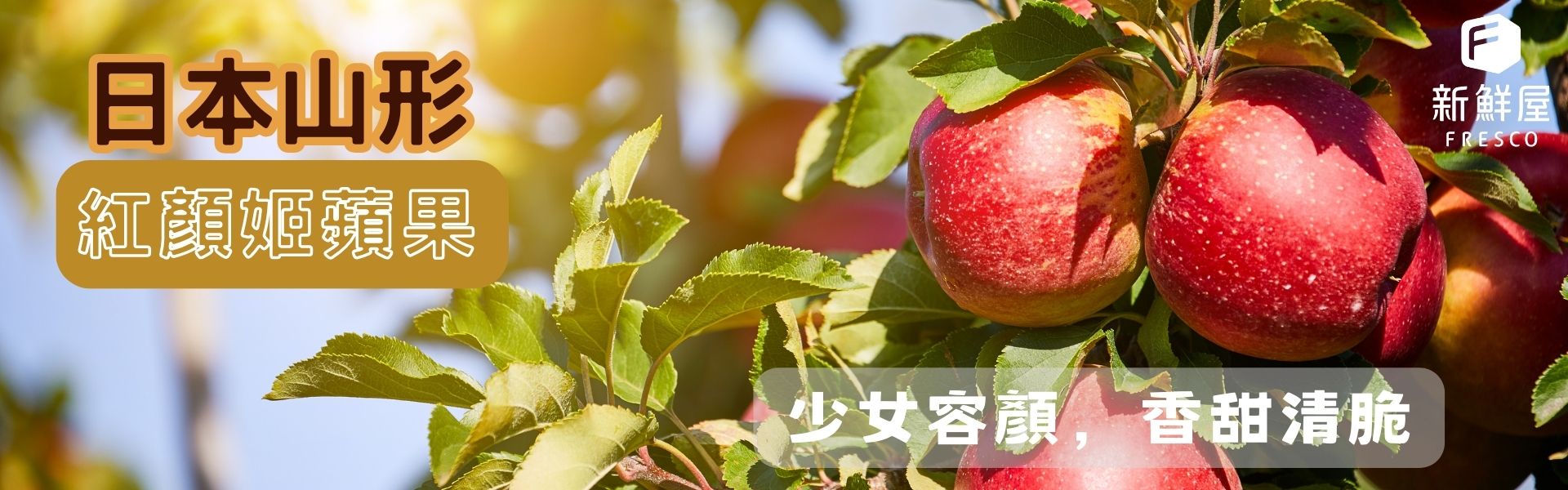 滿版banner
