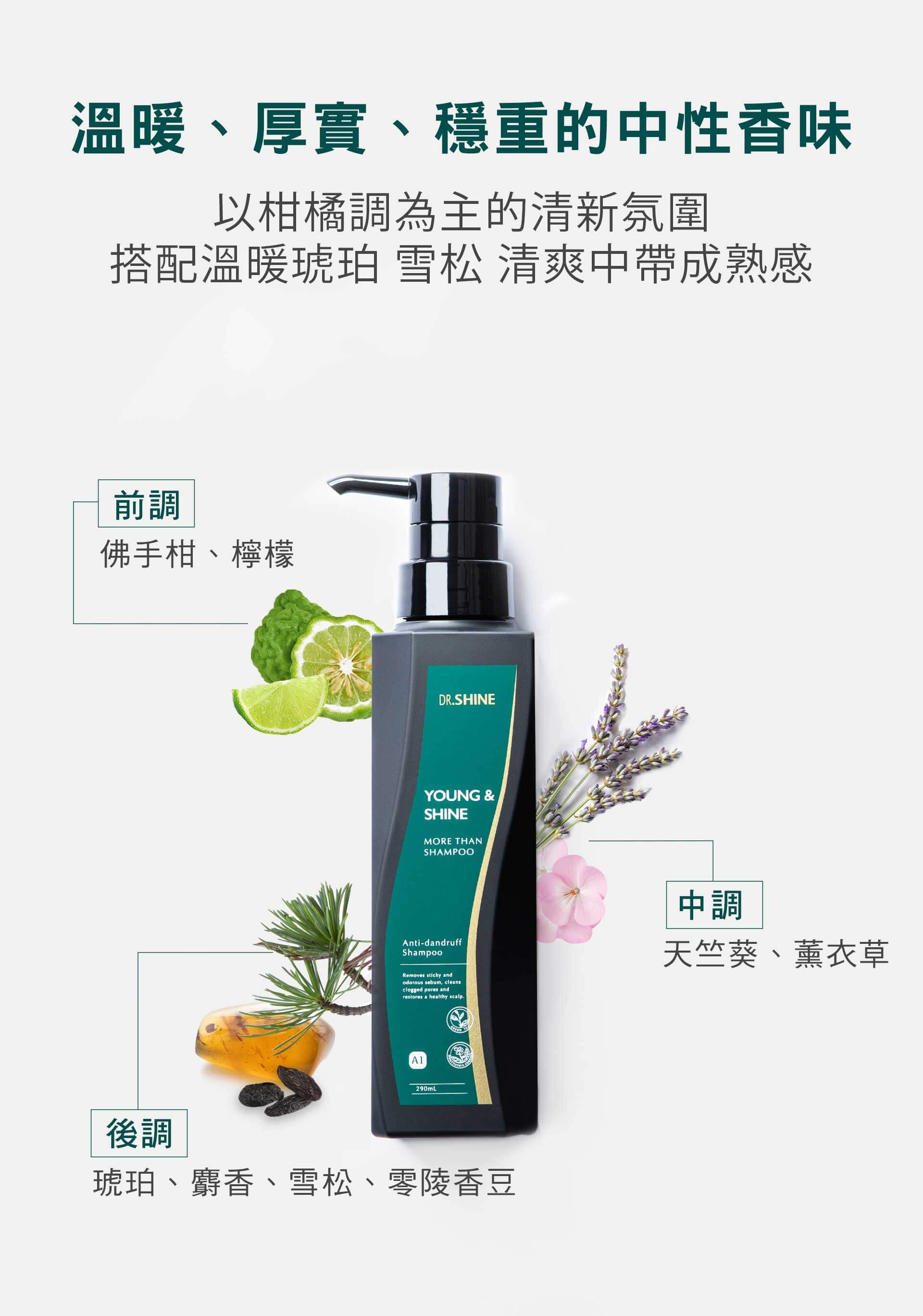 滿版banner
