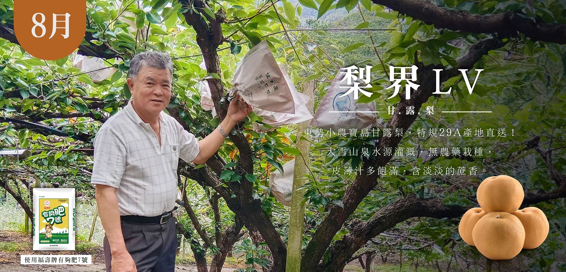 滿版banner
