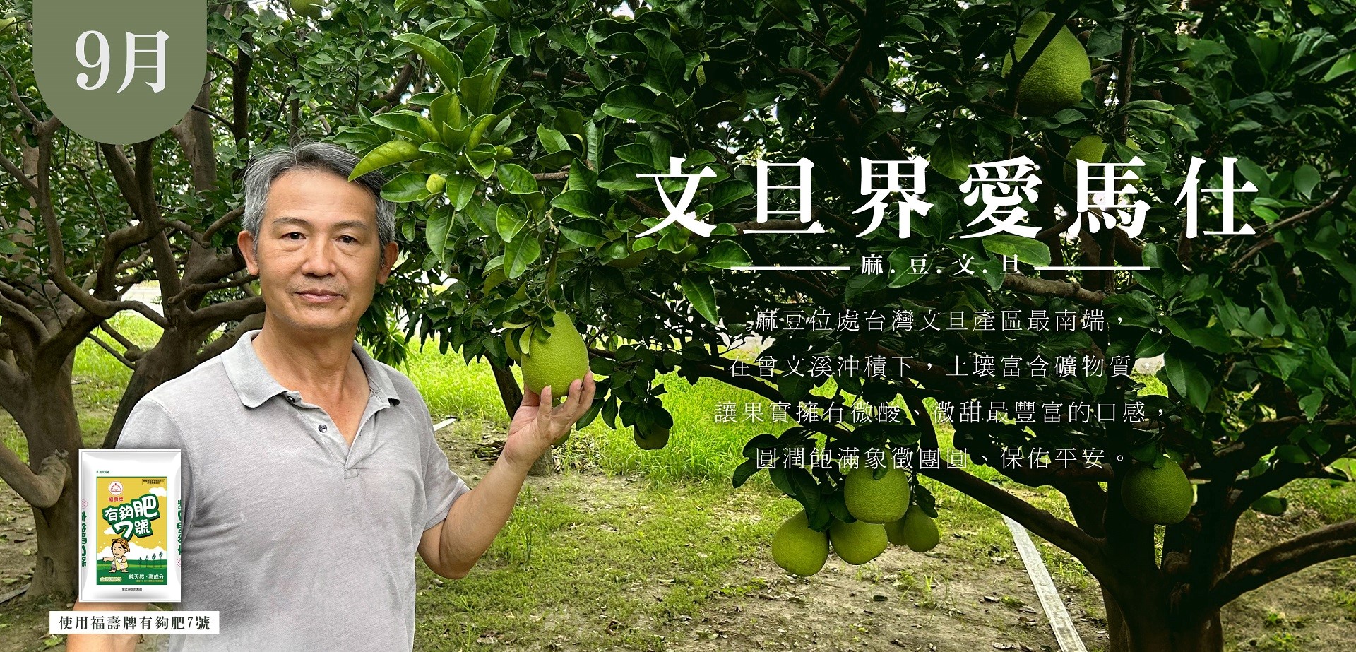 滿版banner