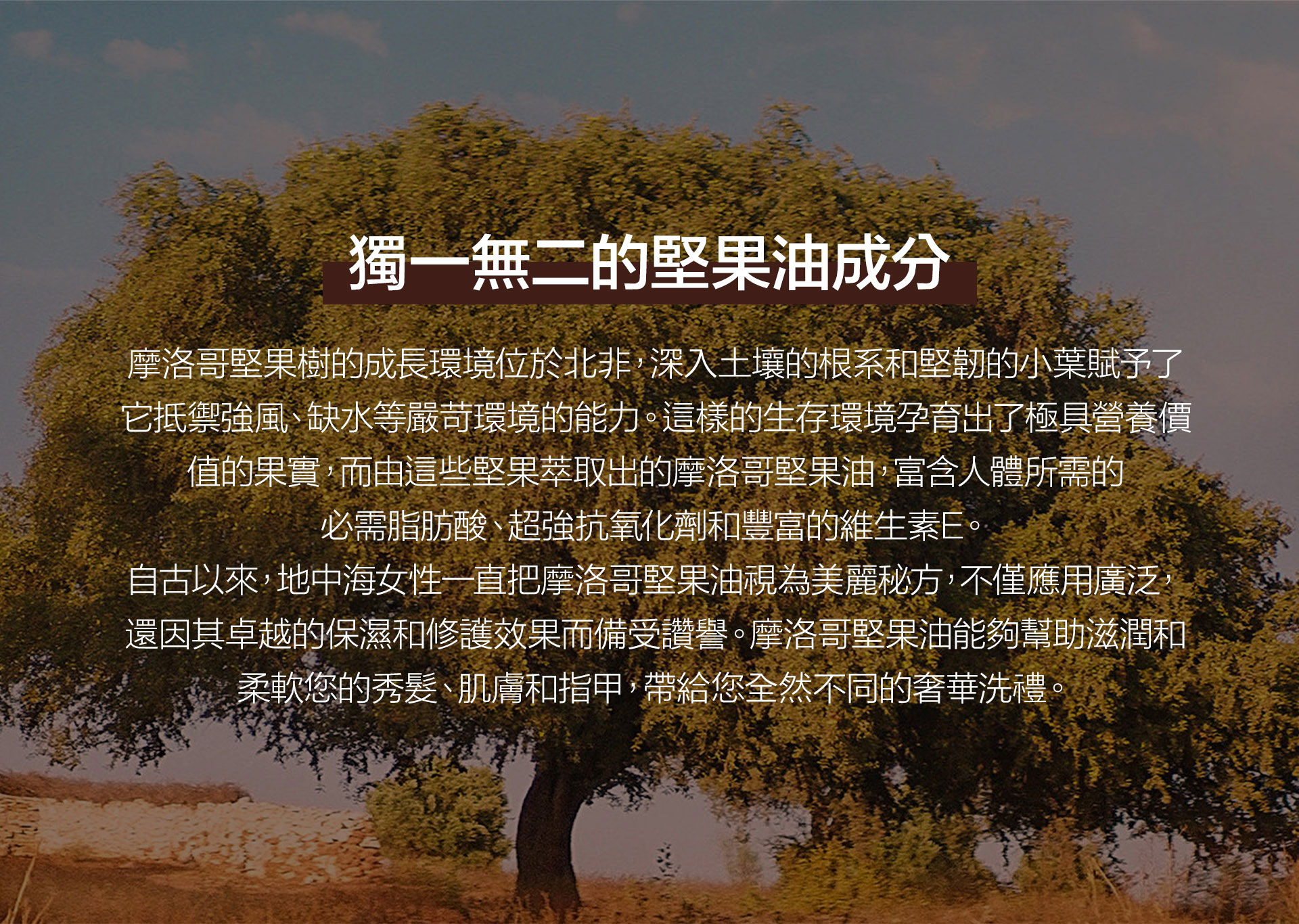 滿版banner