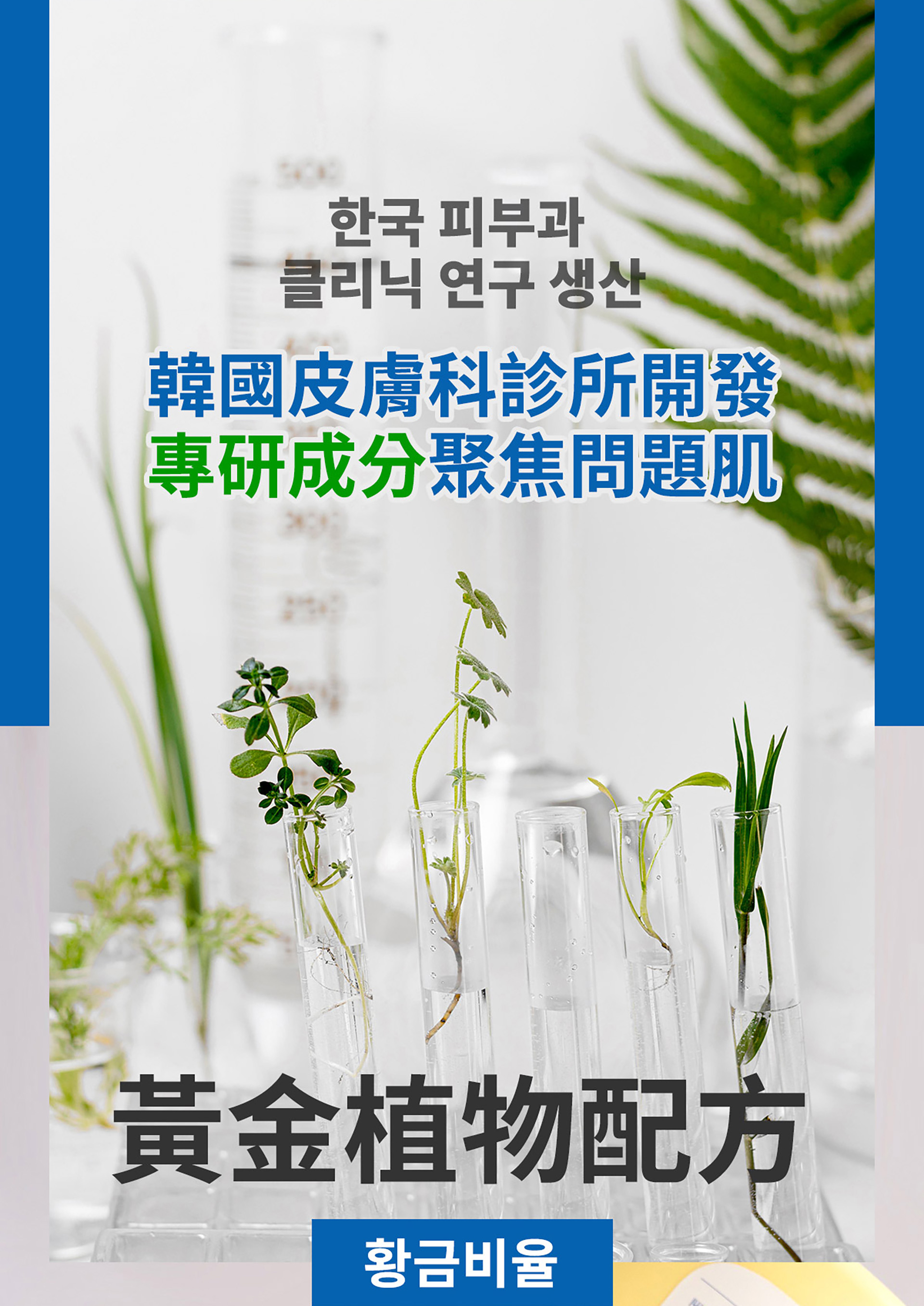 滿版banner