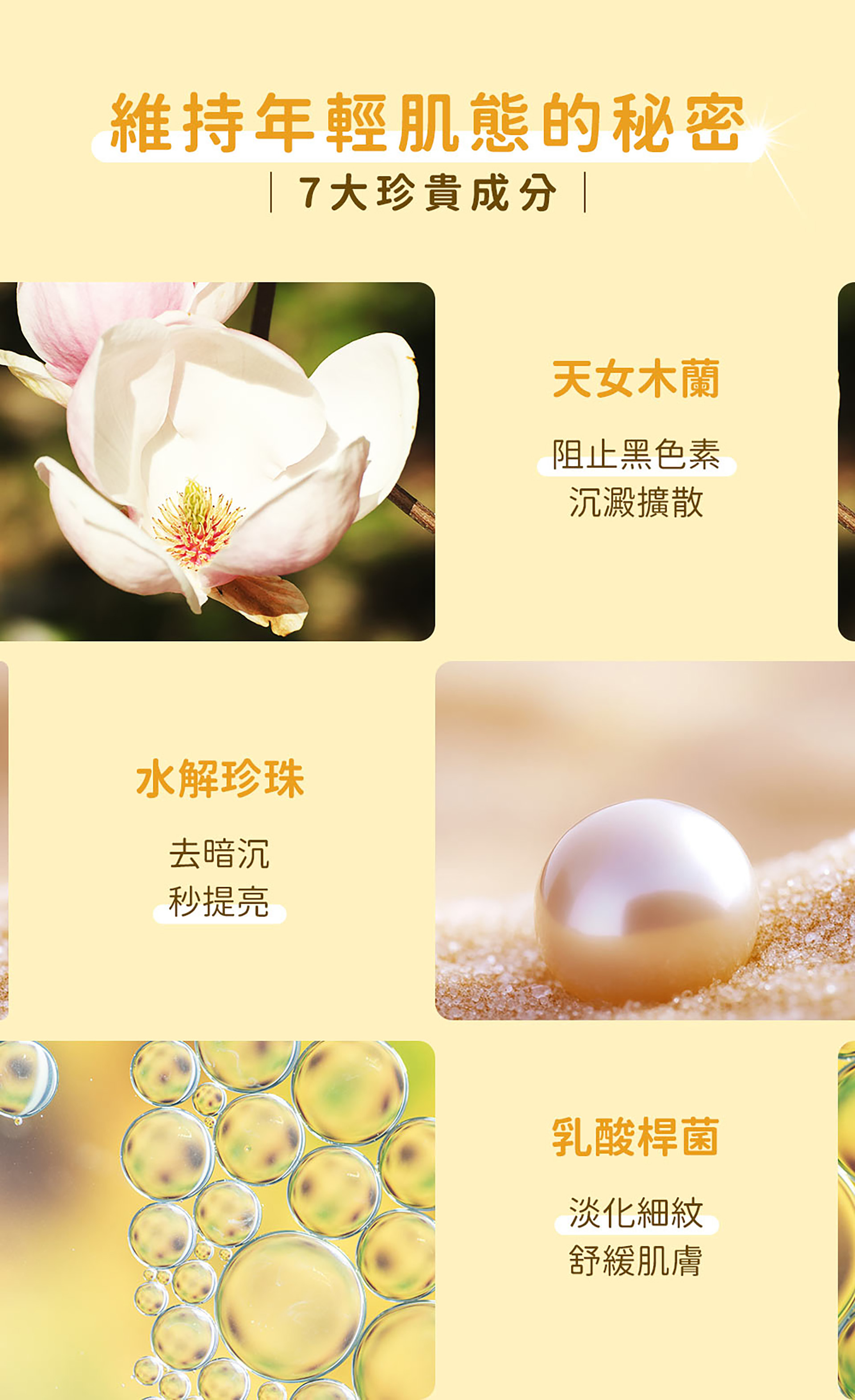 滿版banner